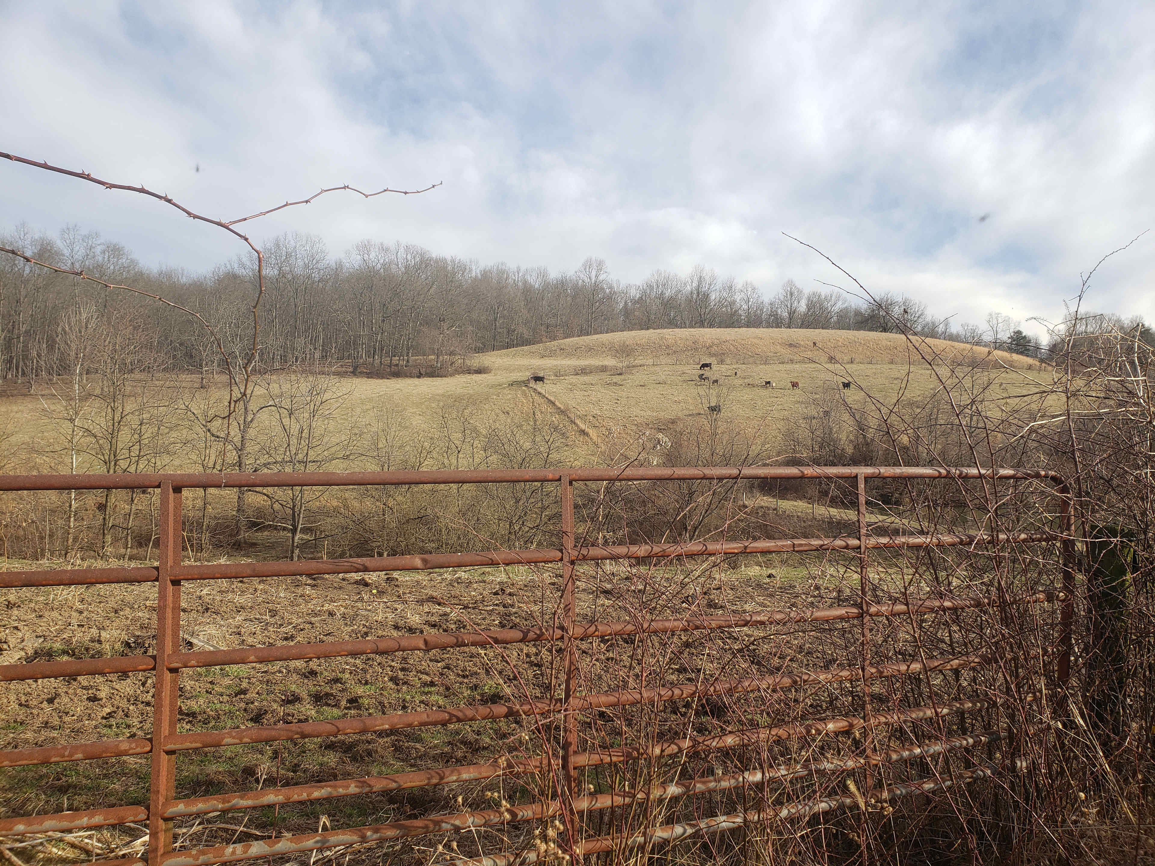 Salem Springs at Dexter Run Farms
