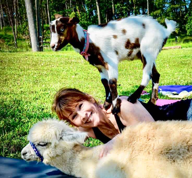 Little Goat Farm at the Lake