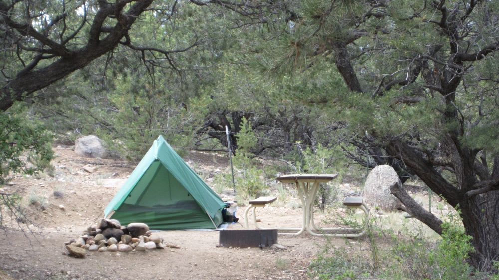 Picture of the site