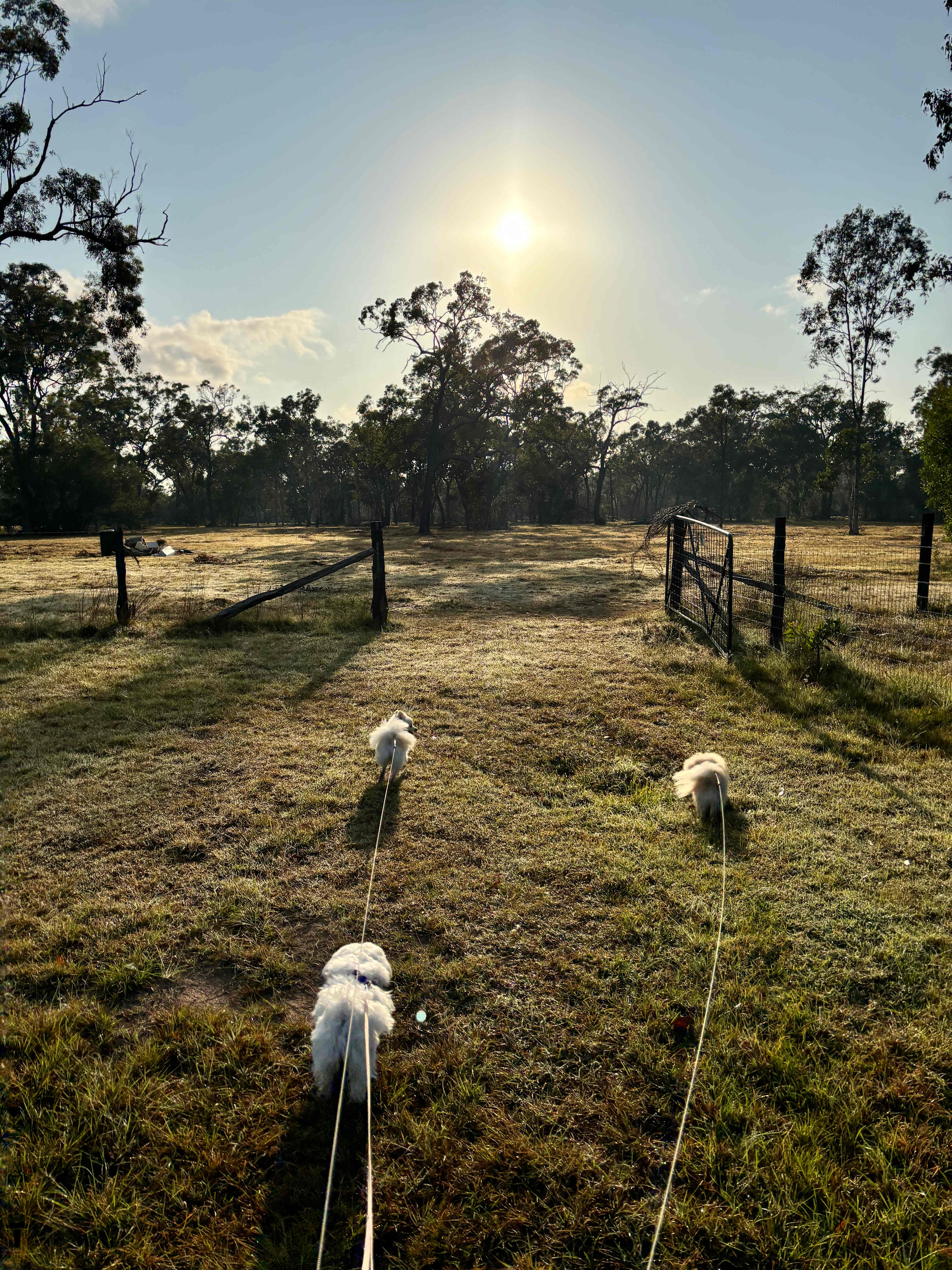 Lenlie Farm