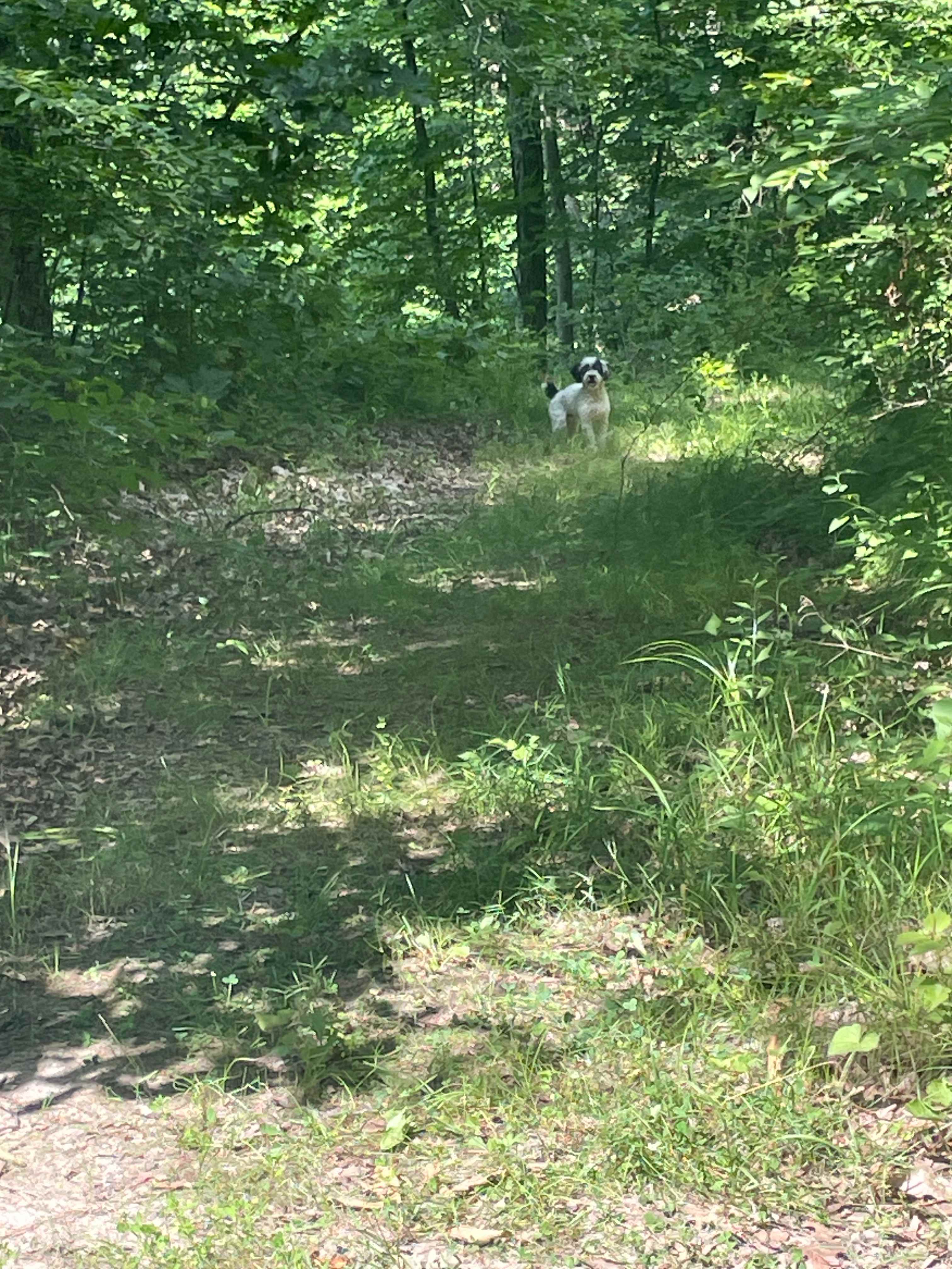 Jensen Woods Camp
