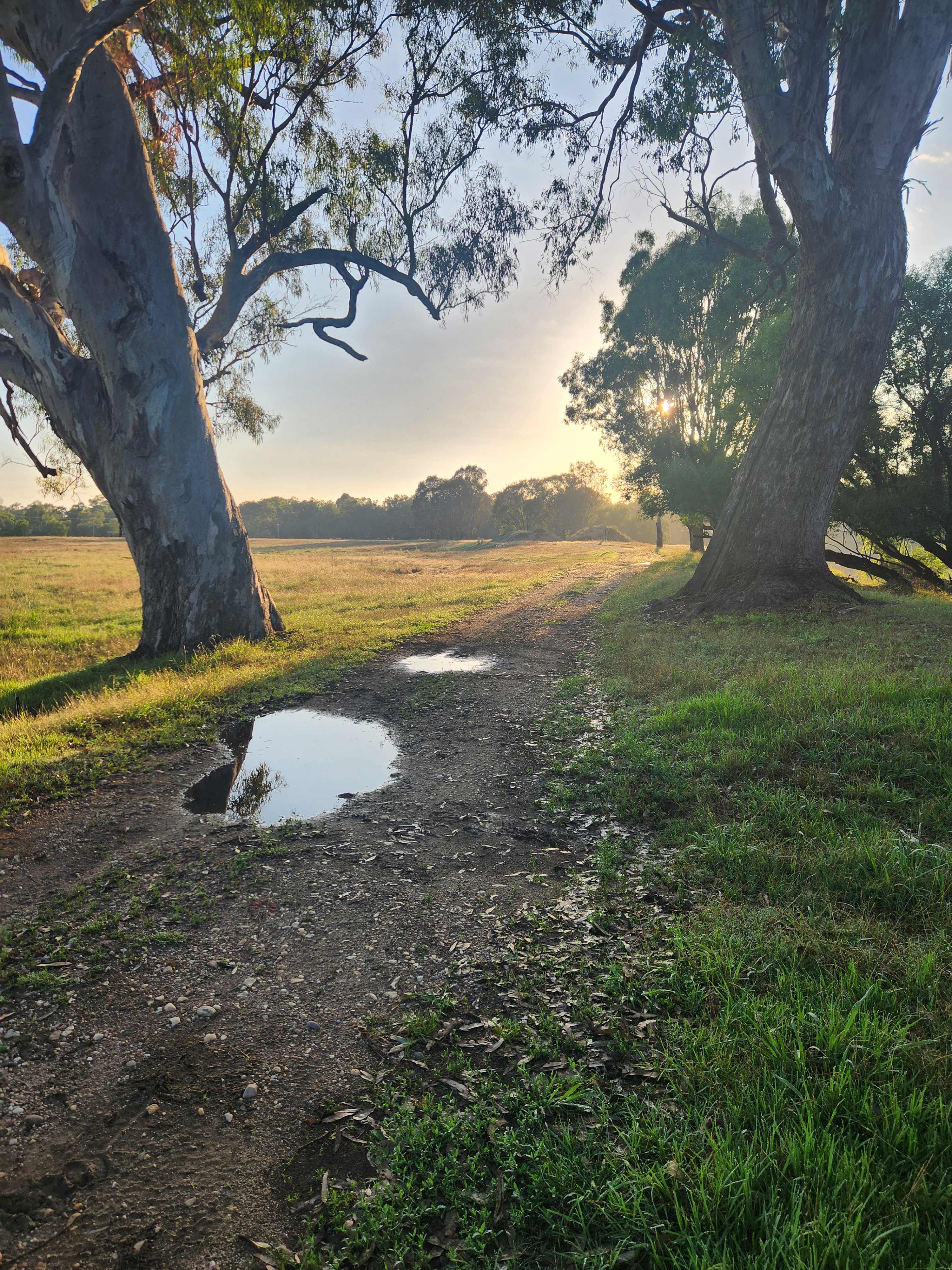 Willowbank on the Murray