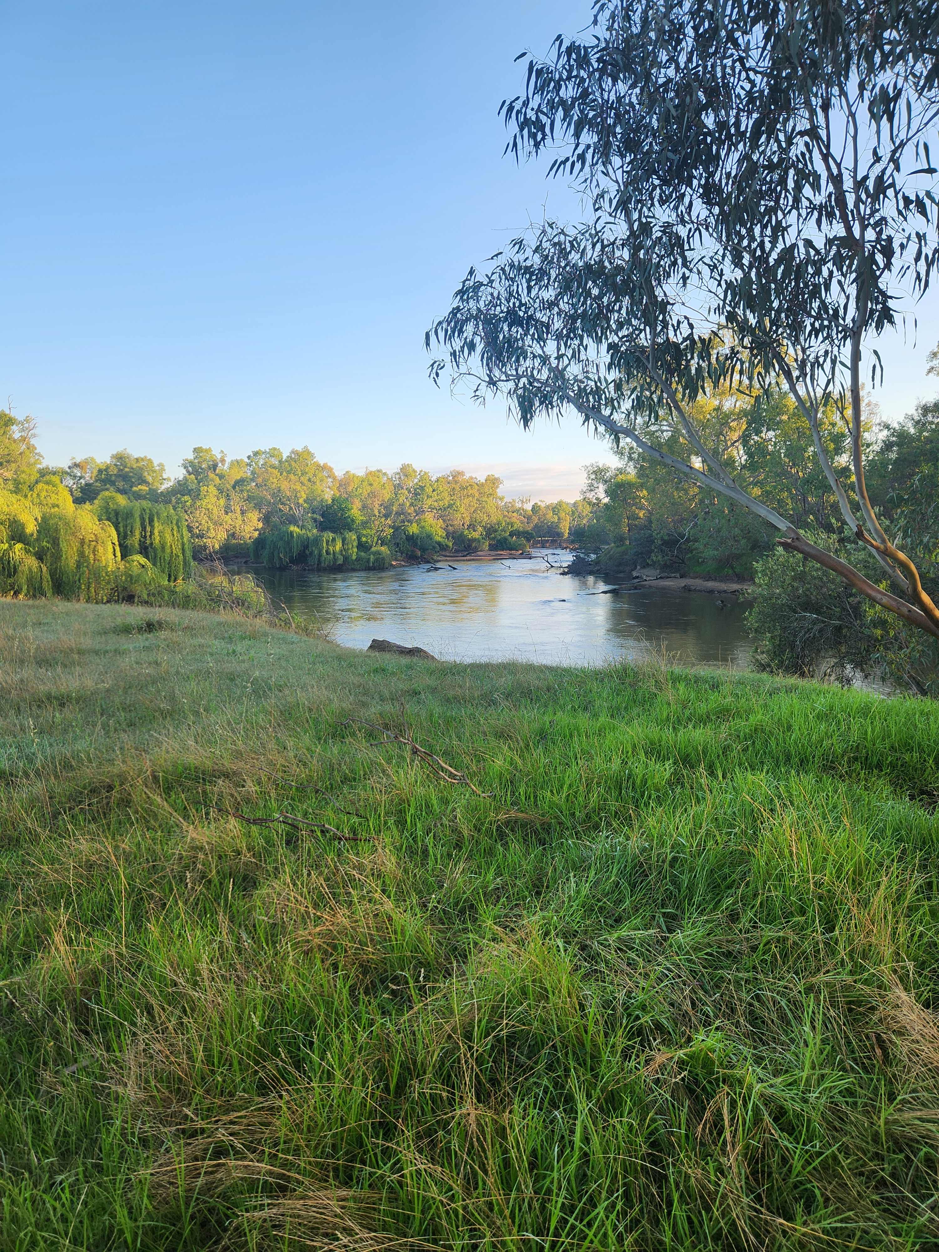 Willowbank on the Murray