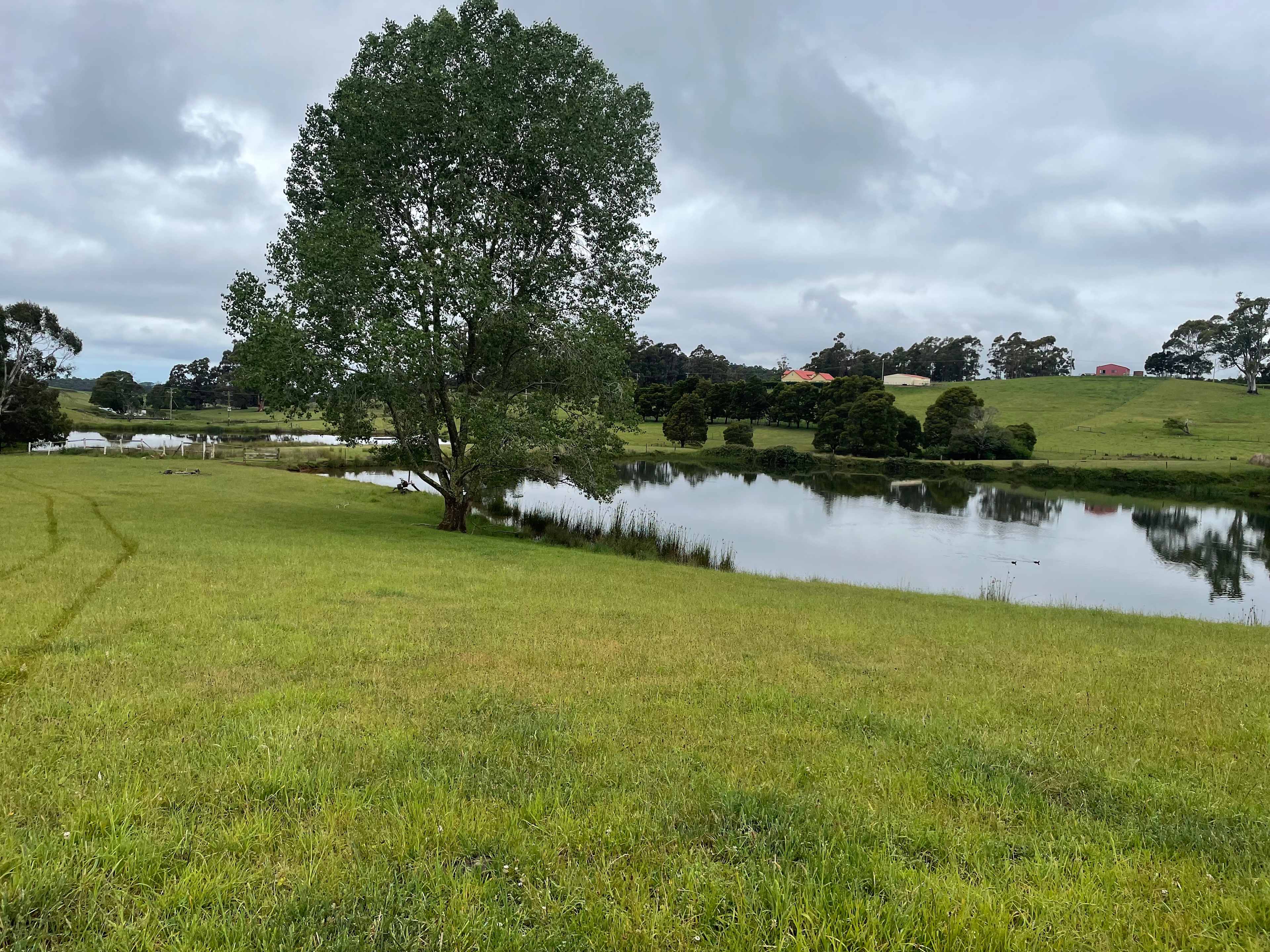 Shep’s Farm