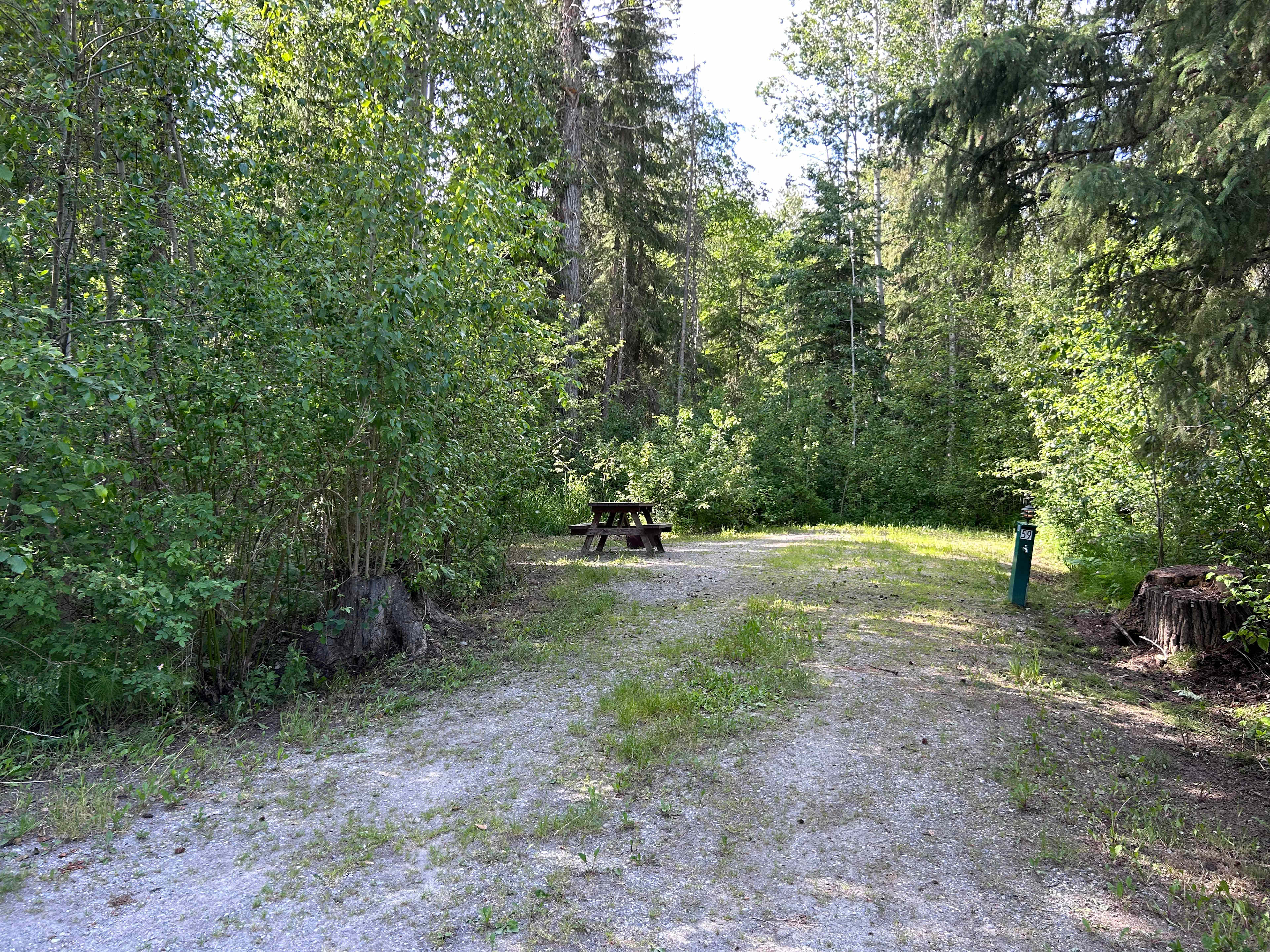 Picture of the site