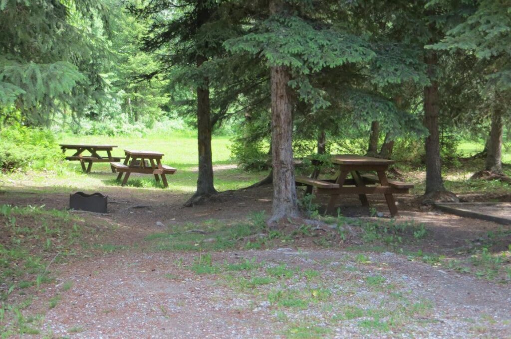 Picture of the site