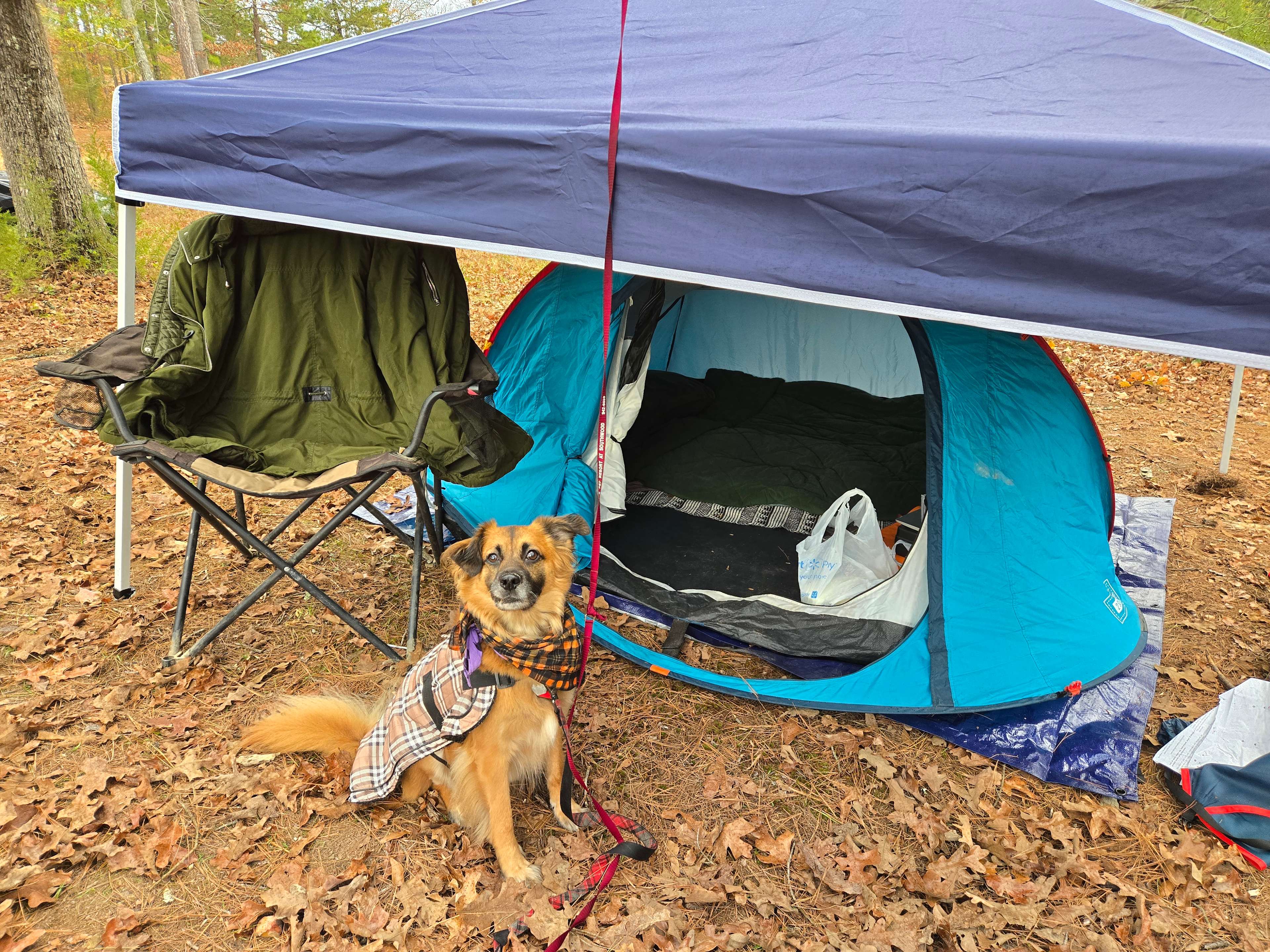 Ouachita Campground at Edendell