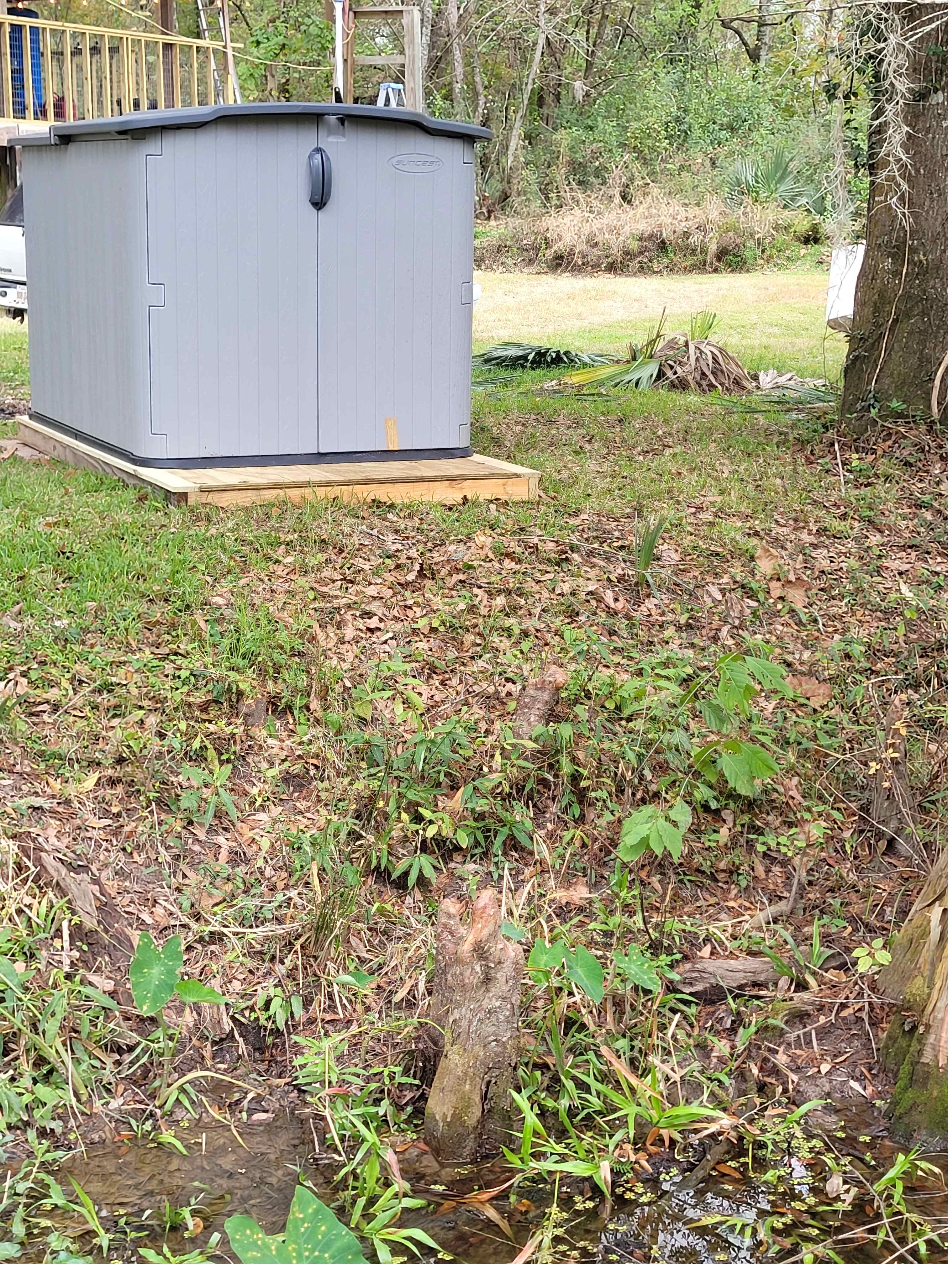 Picture of the site