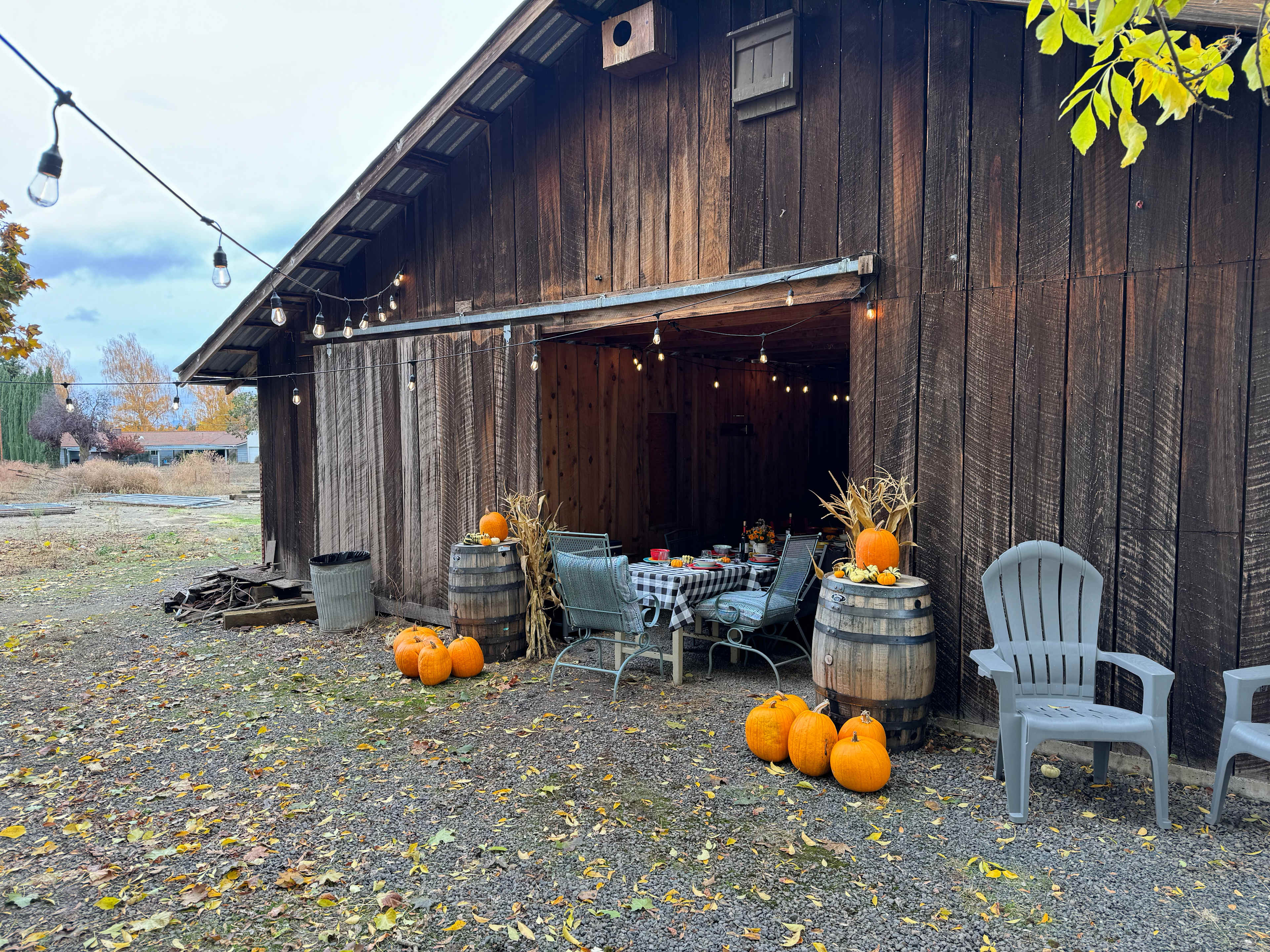 Wild Hare Farms
