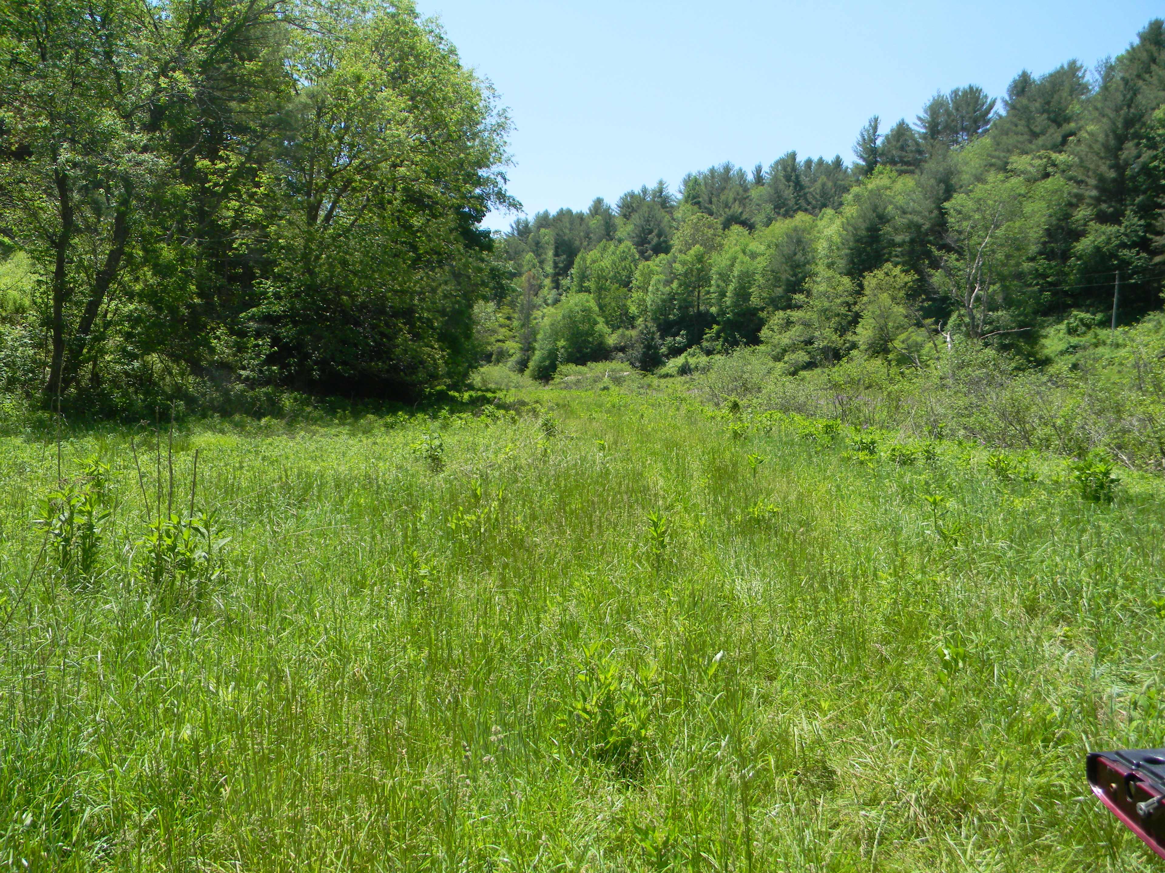 A Virginia Pioneer Adventure!