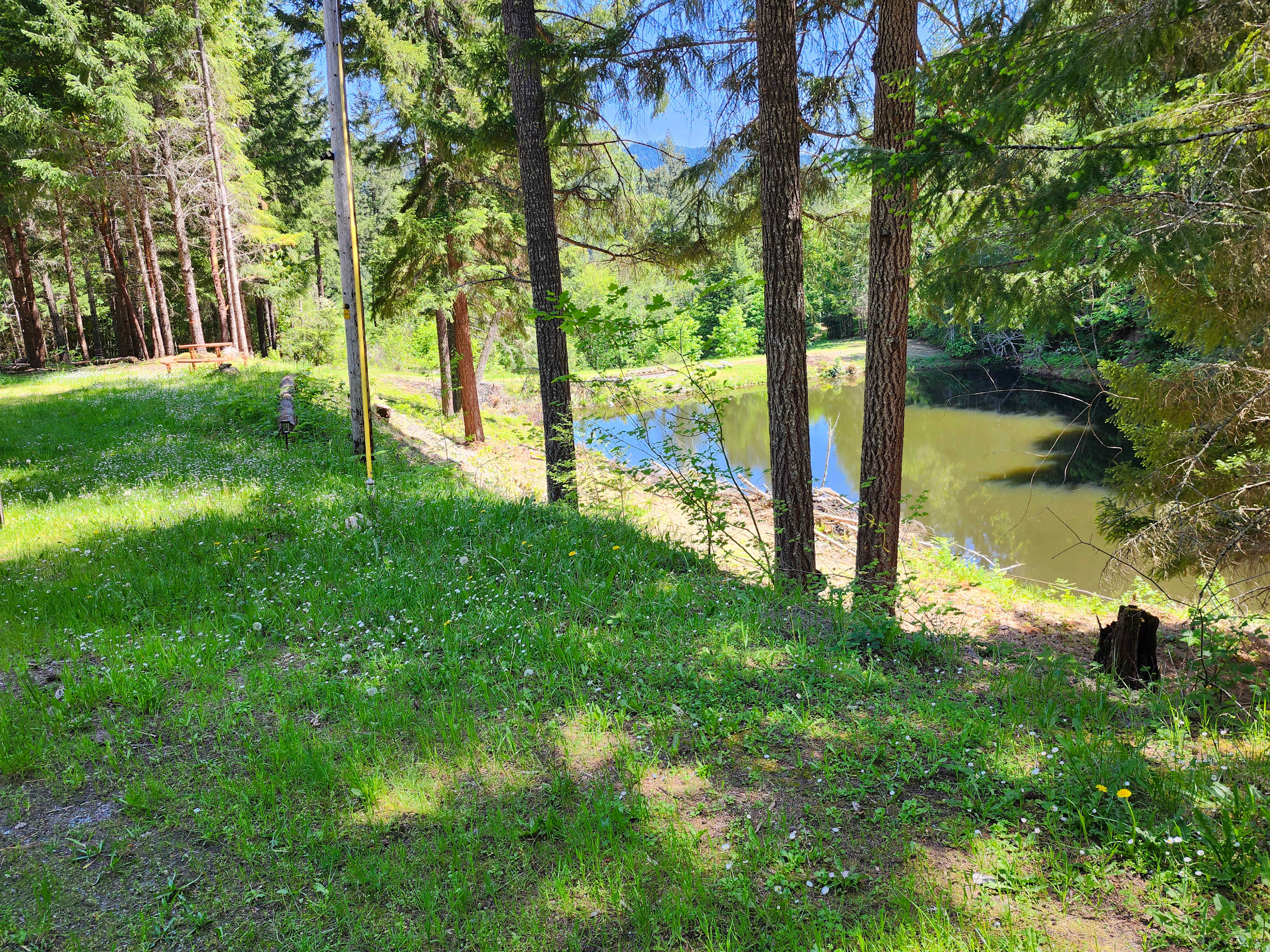 Creekside Waterfront In The Forest