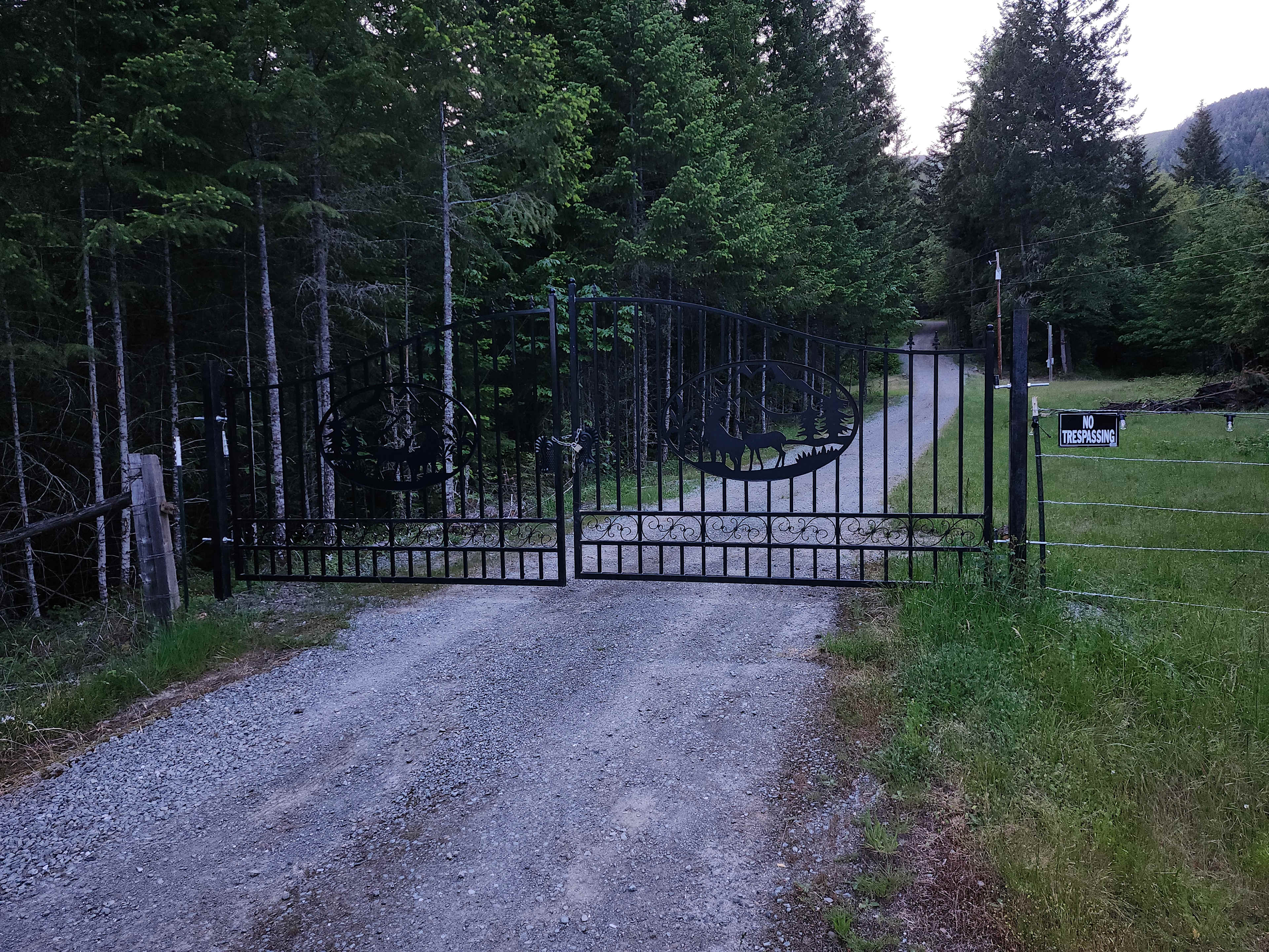 Picture of the site