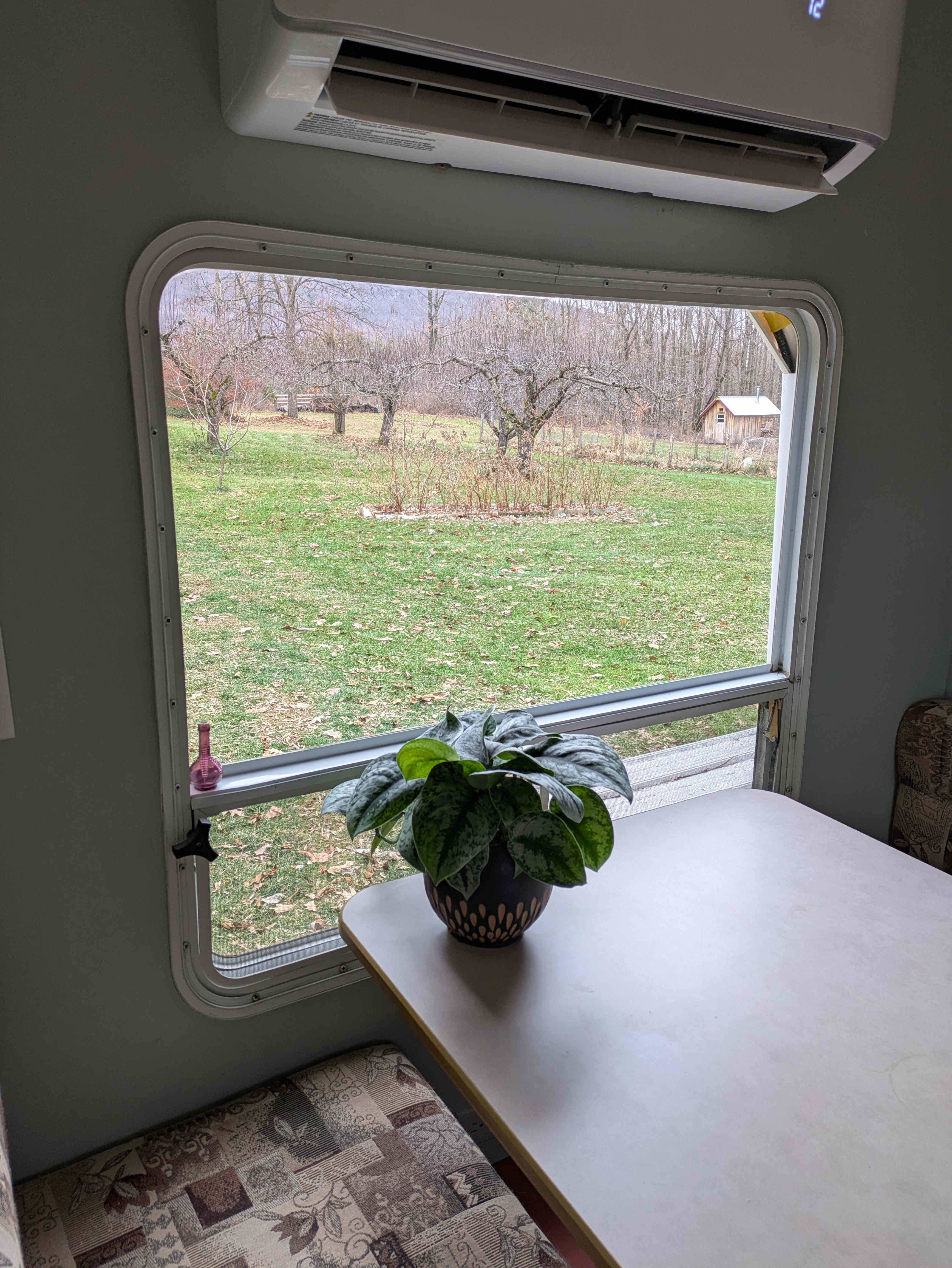 Cozy Tiny Home Ski! Swim! Hike!