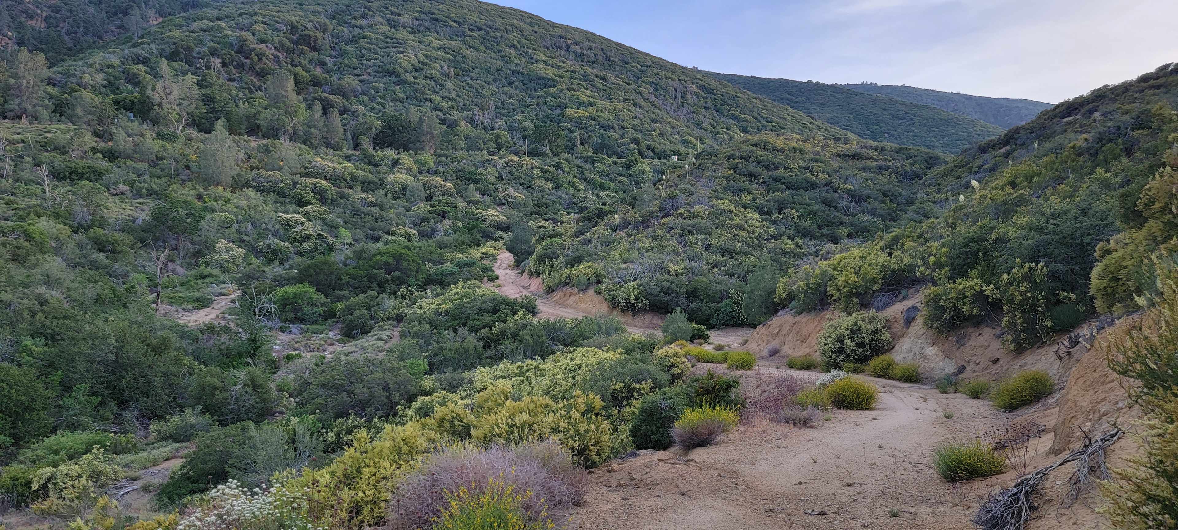 The Hideout - 100+ Acres Oak Trees