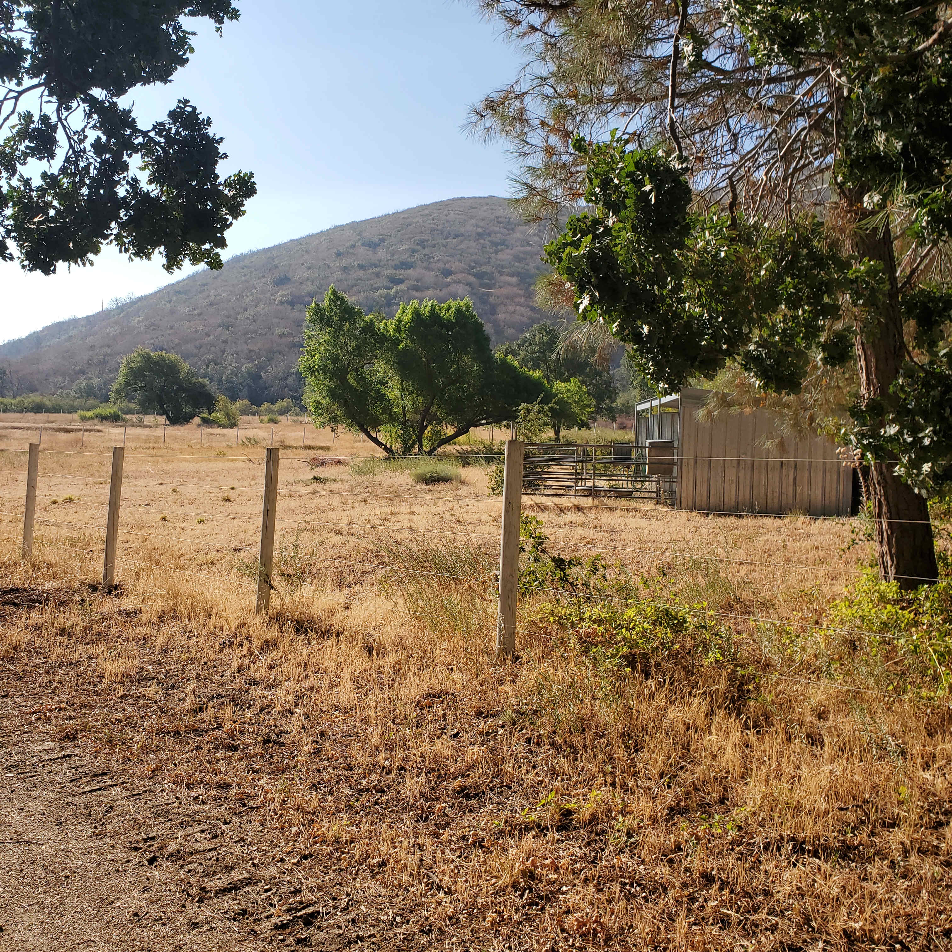 The Hideout - 100+ Acres Oak Trees