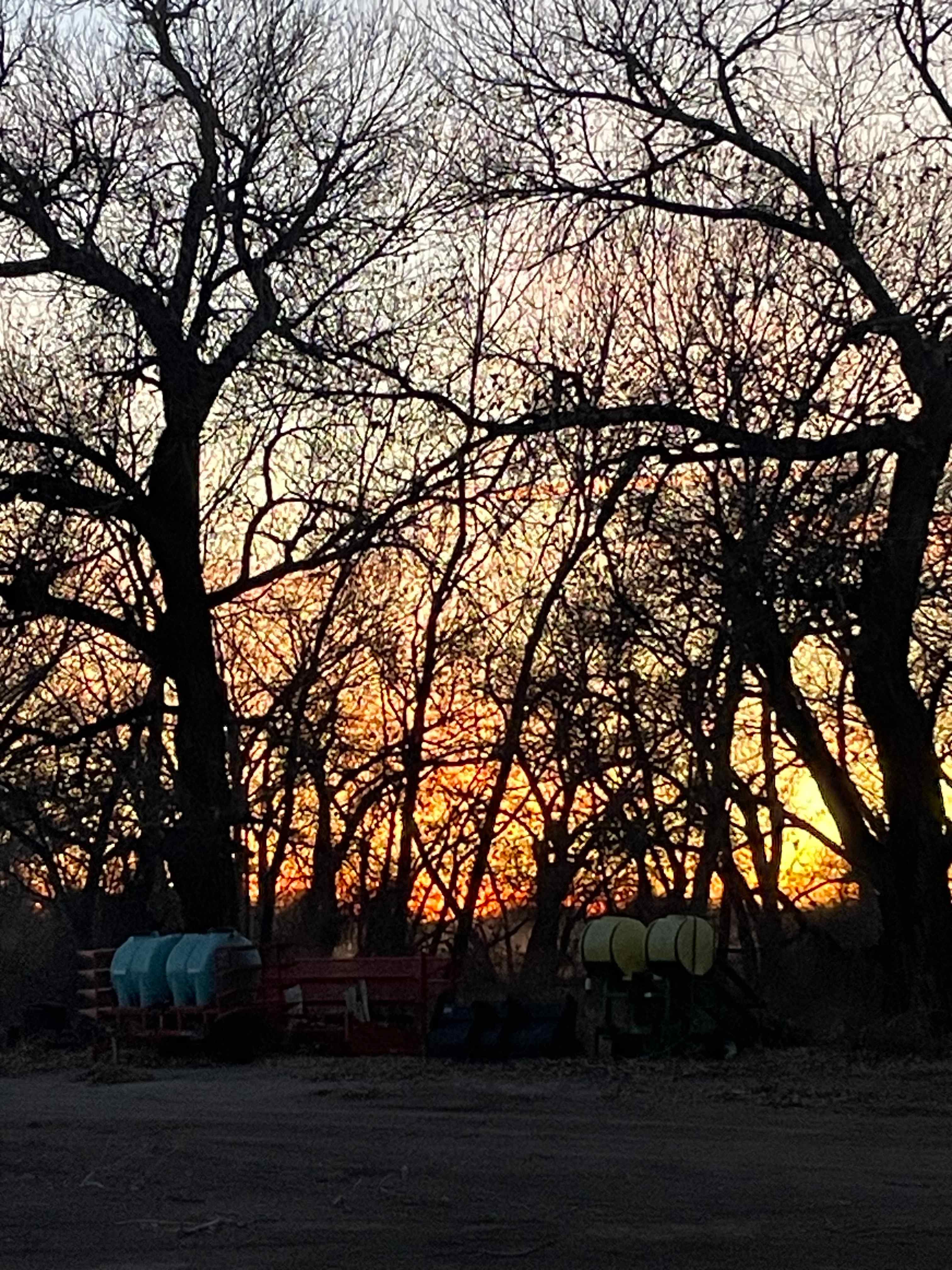 Nevada provides amazing sunsets year round. This photo is taken just to the west of the RV sites, overlooking the neighboring farm. 