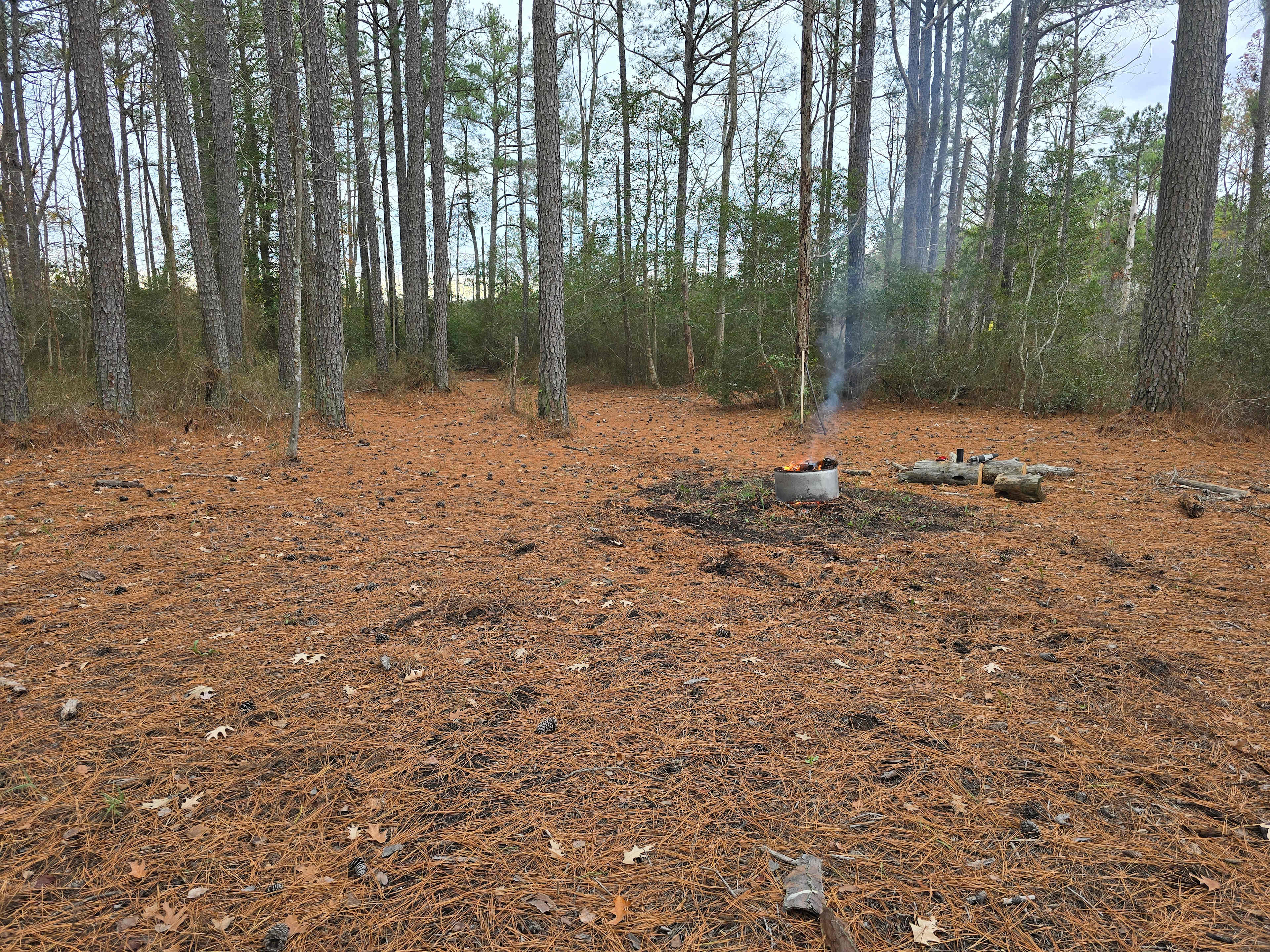 Picture of the site