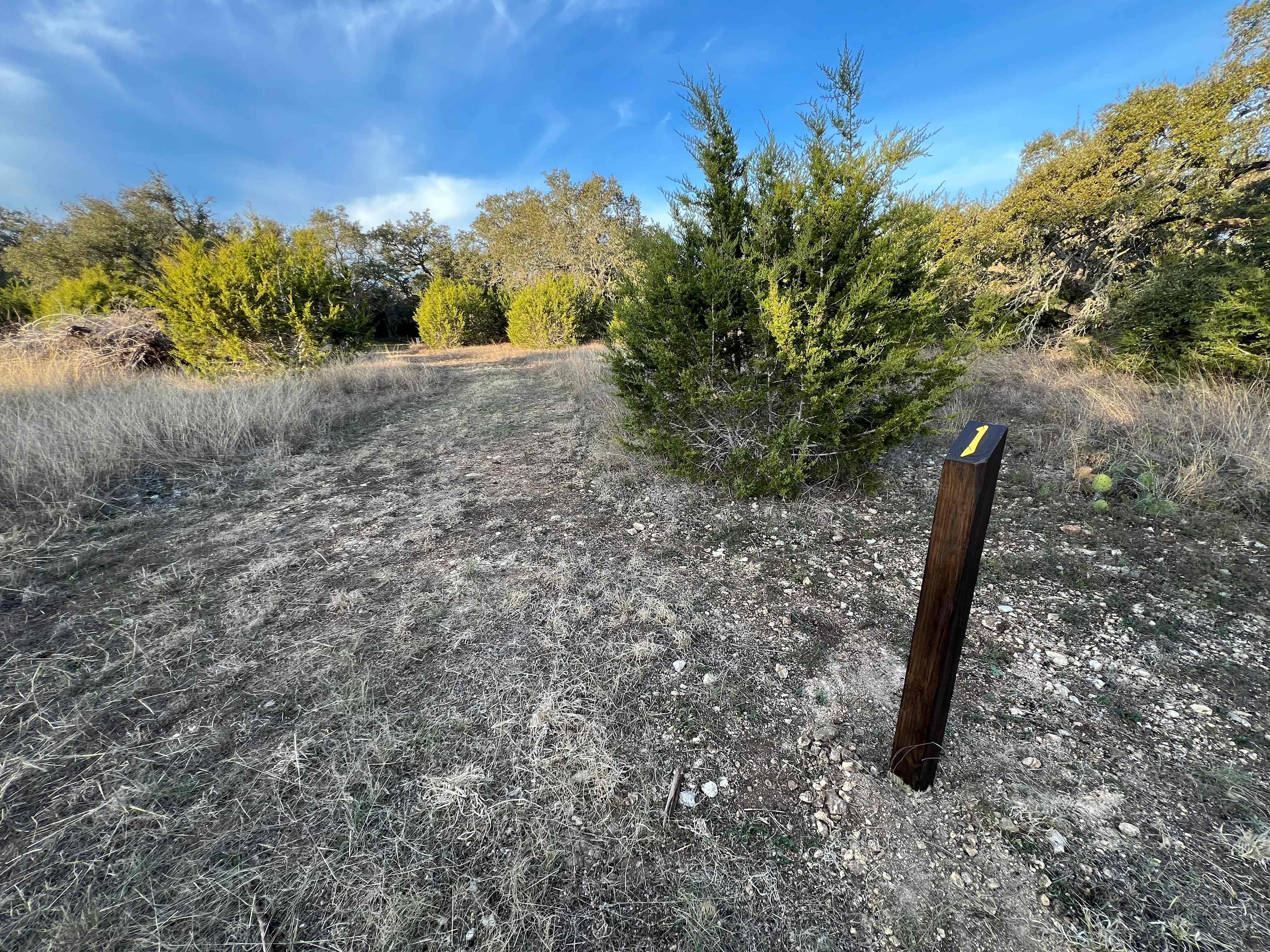 Wimberley Positive Times Camping