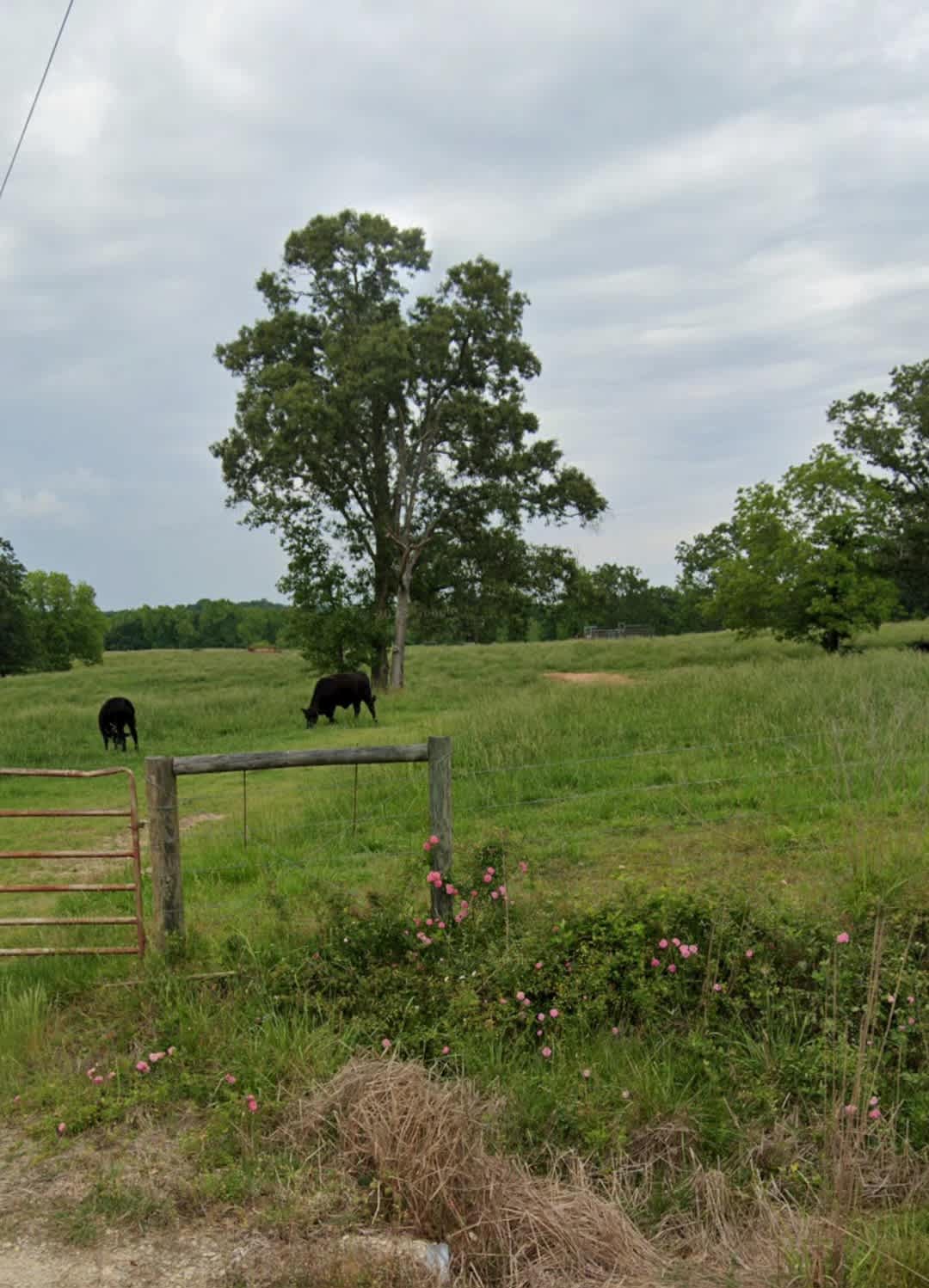 Clark Creek Grounds