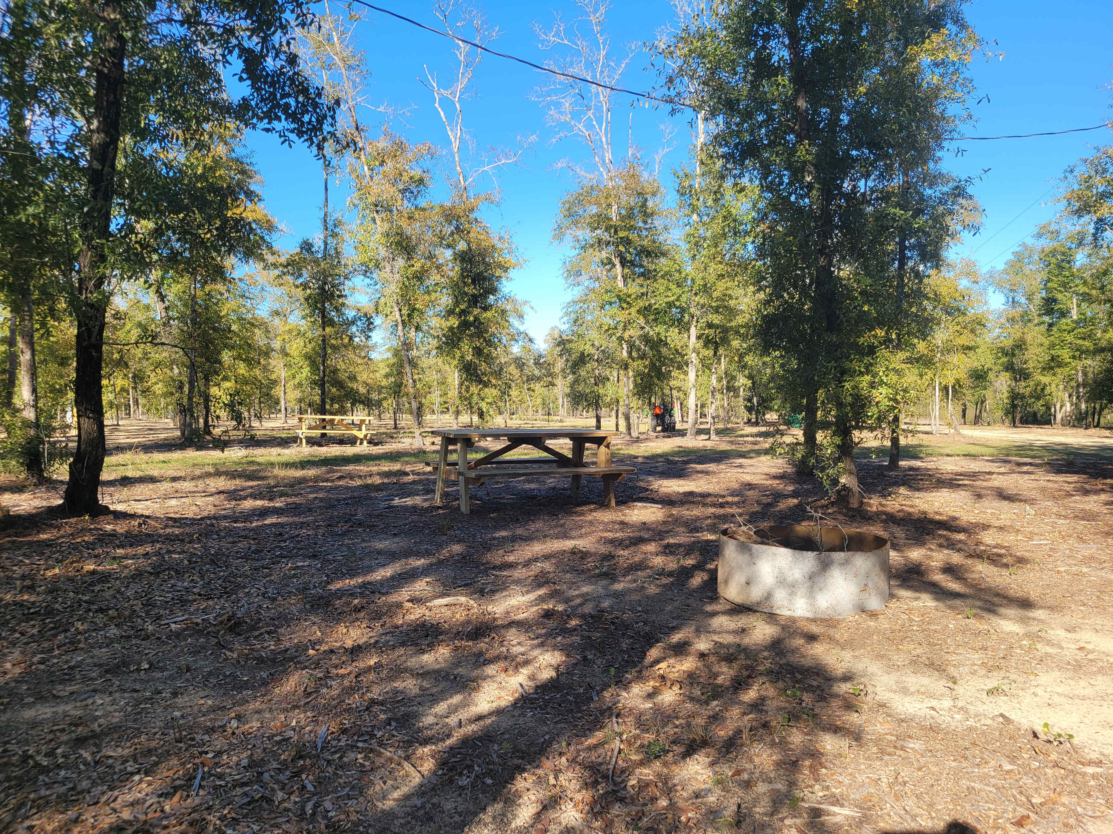 In The Woods RV Park And Storage