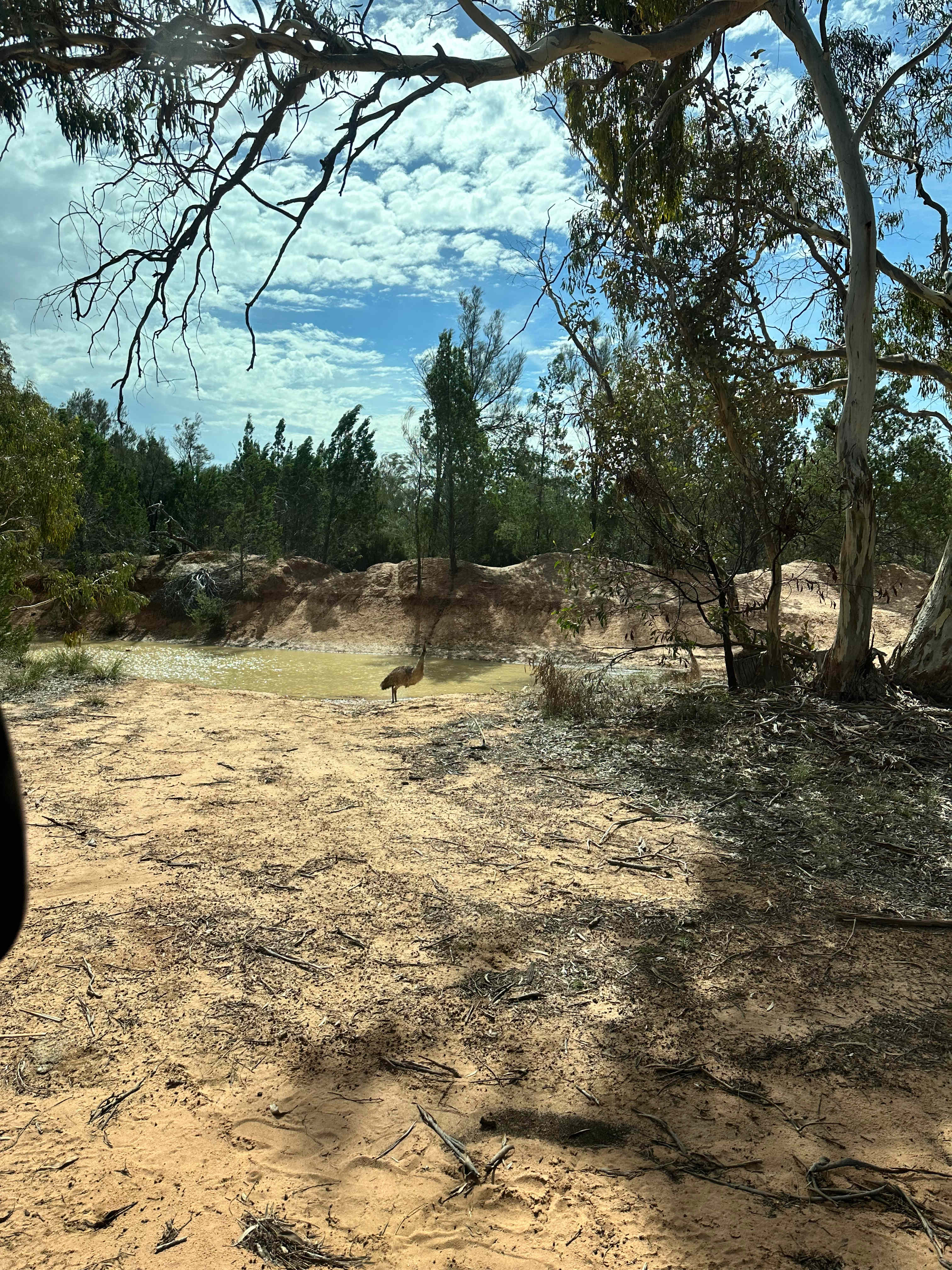 Stringybark Camp