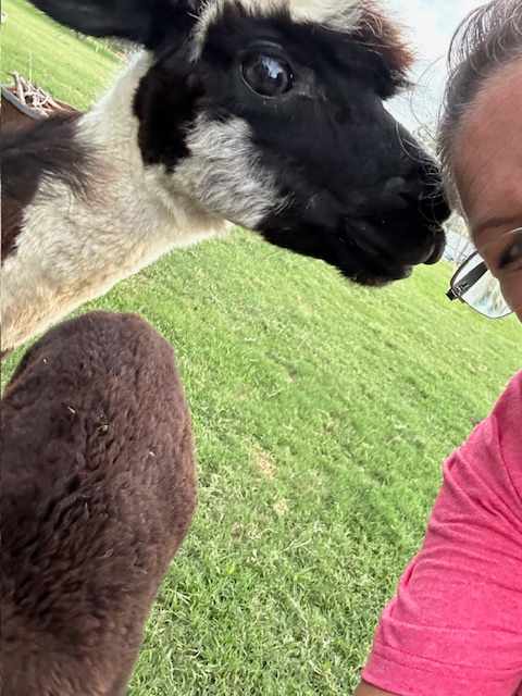Sunny Days Farm and Ranch