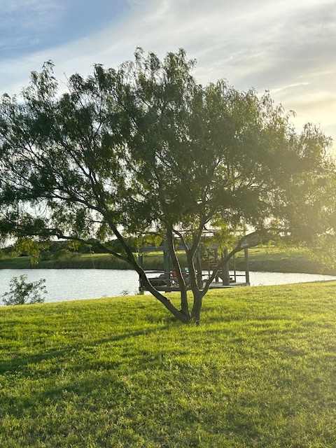 Sunny Days Farm
