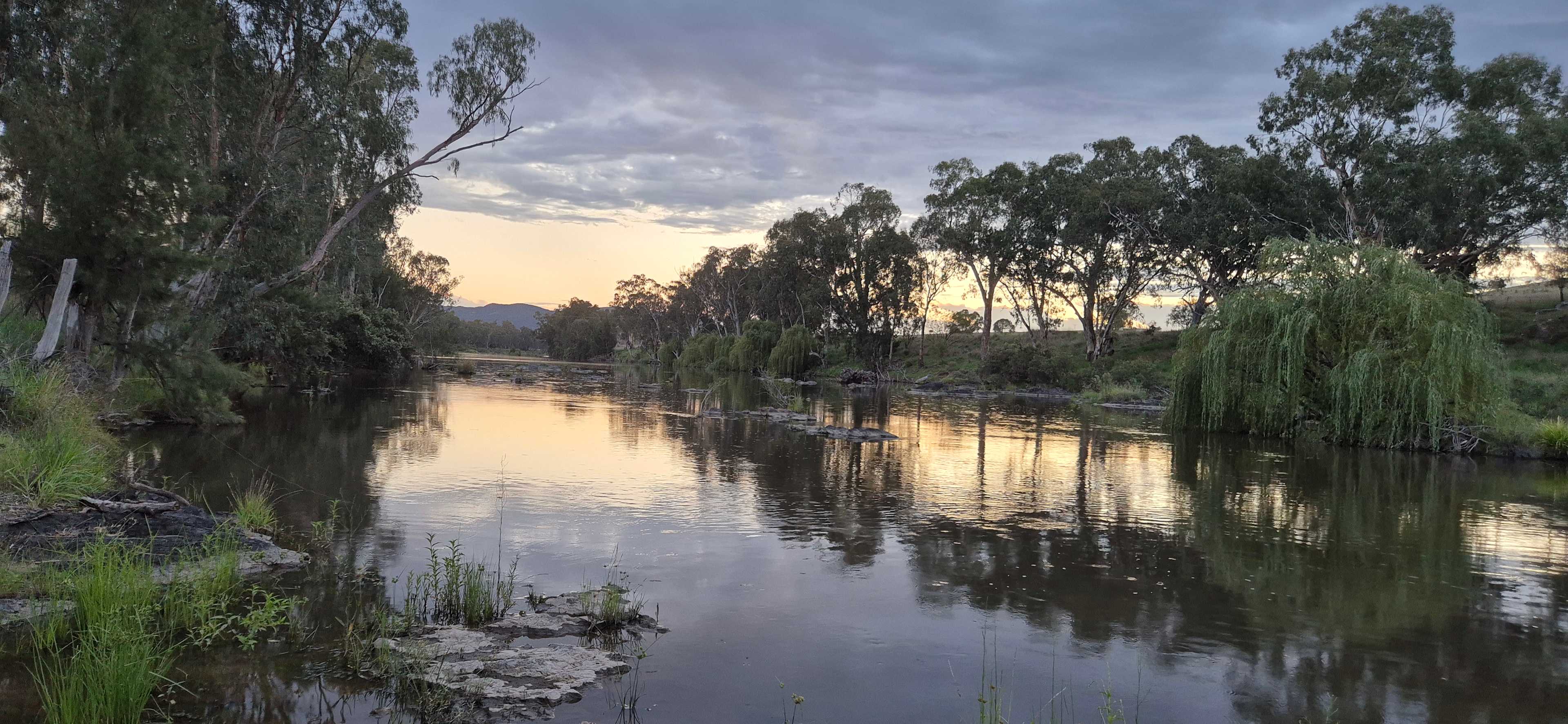 'Saliet'(Newfarm)Dumaresq Valley
