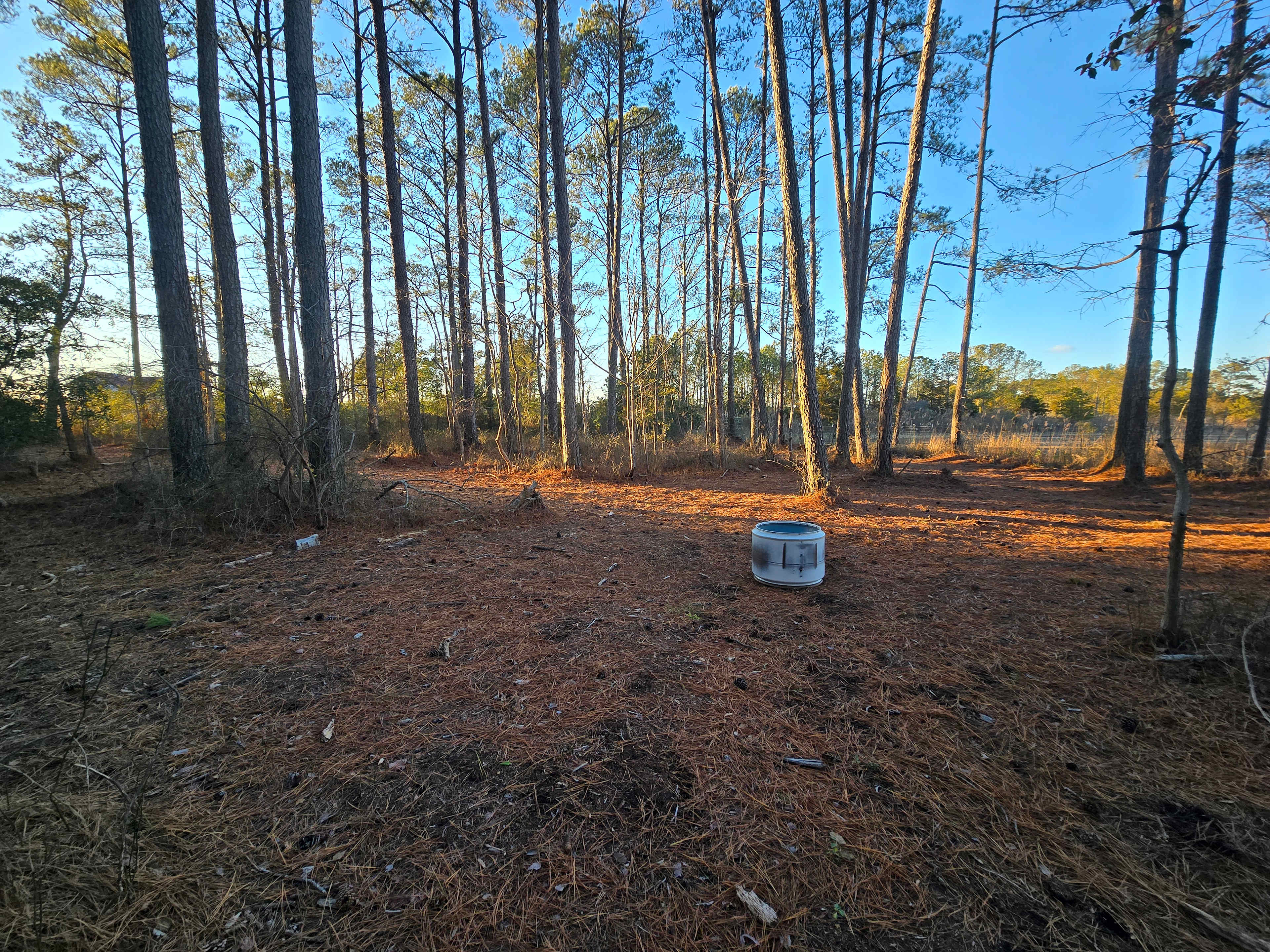 Picture of the site