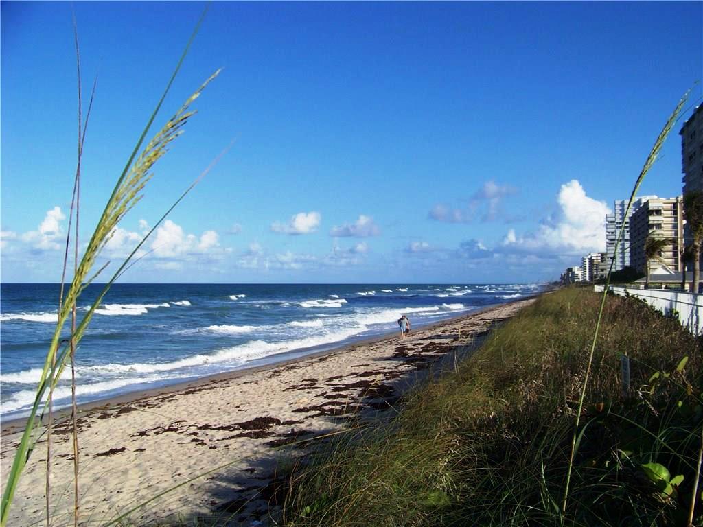 Nettles Island Resort RV Site