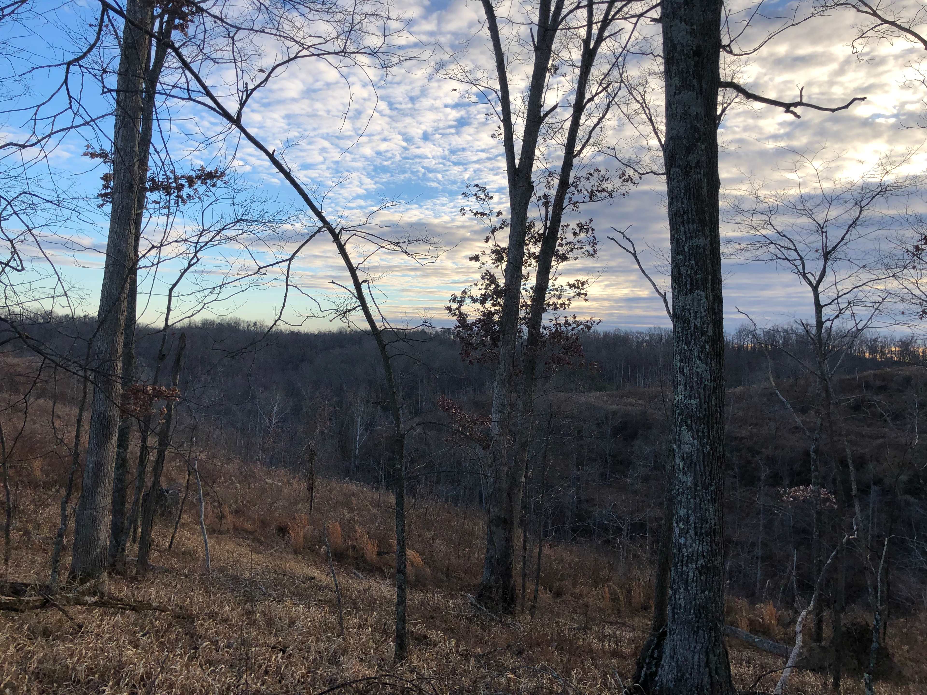 Walnut Falls Escape