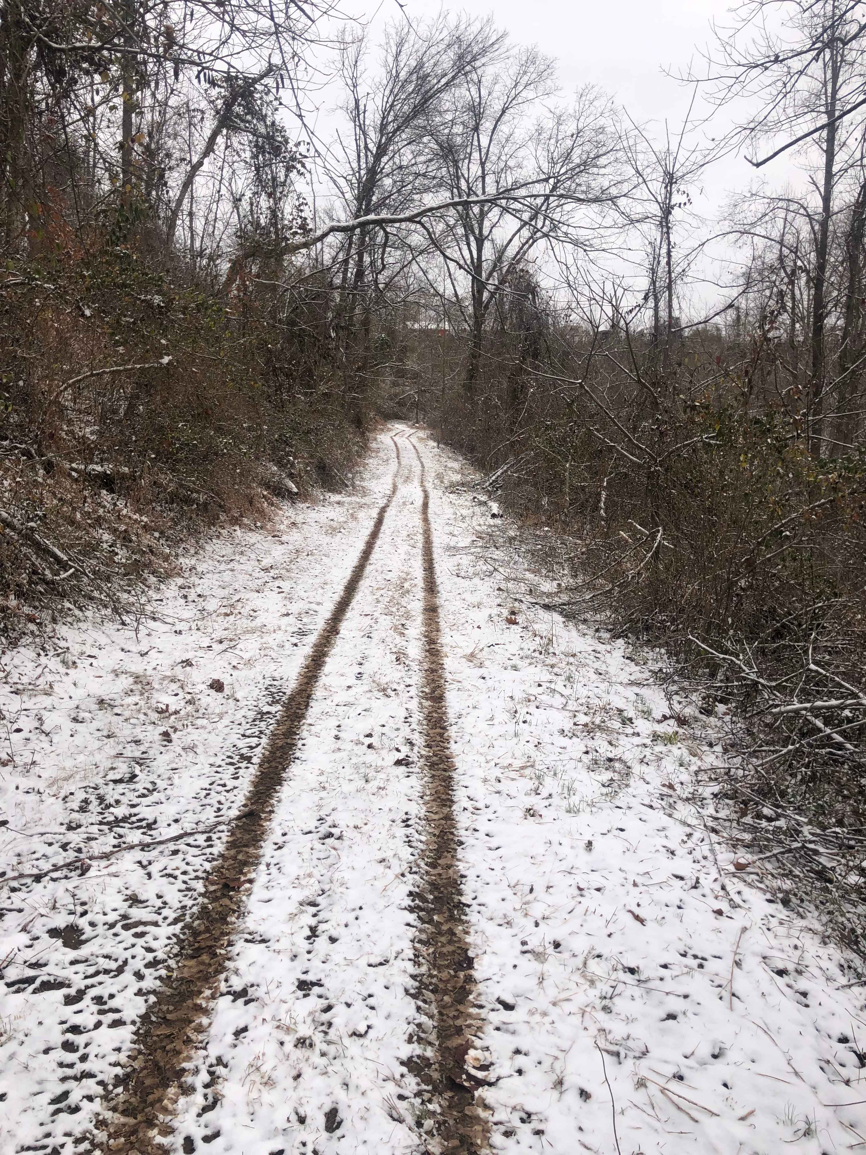 Walnut Falls Escape