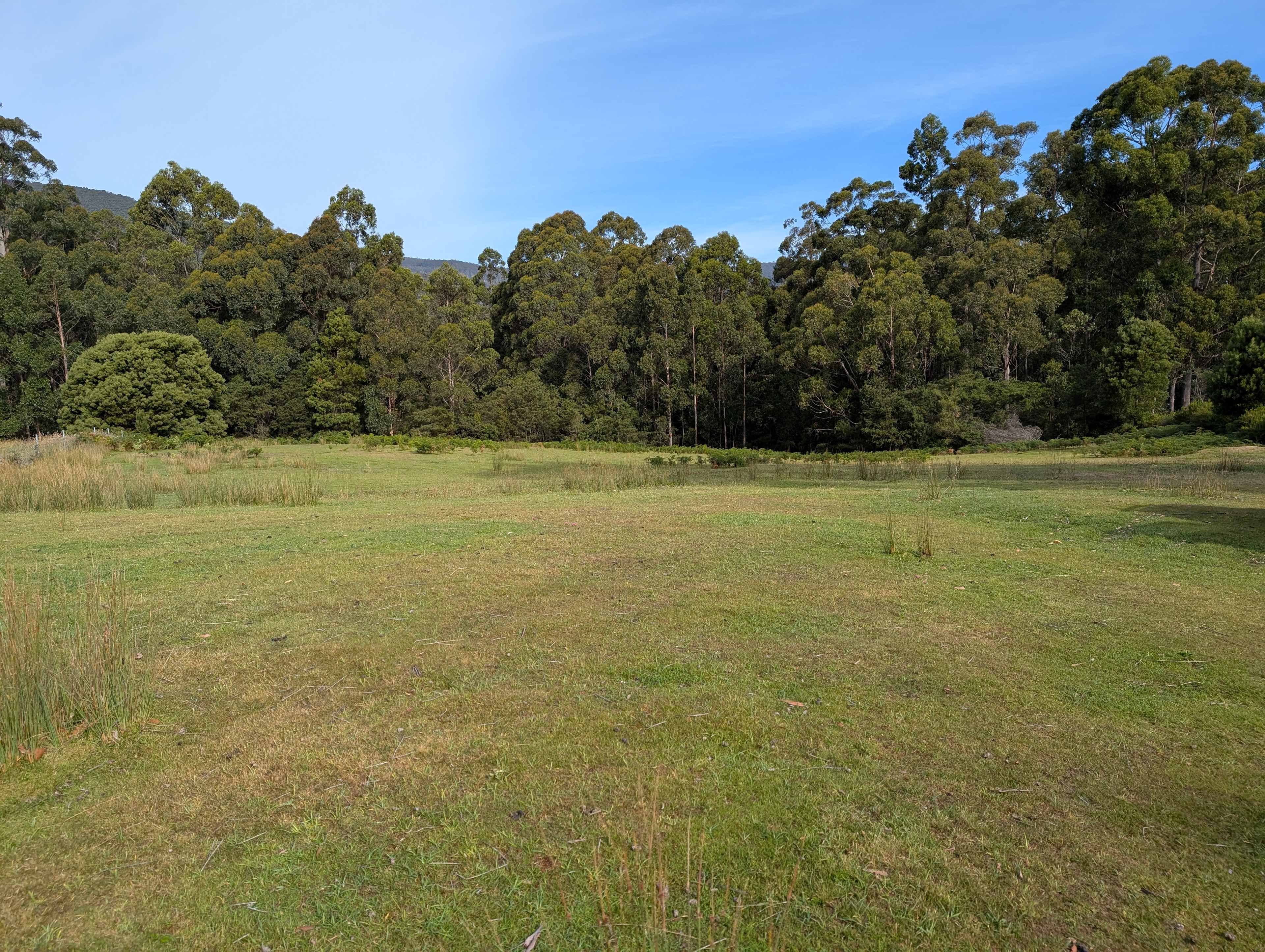 Site 1, sloping land towards the bush with a few flatter spots. 