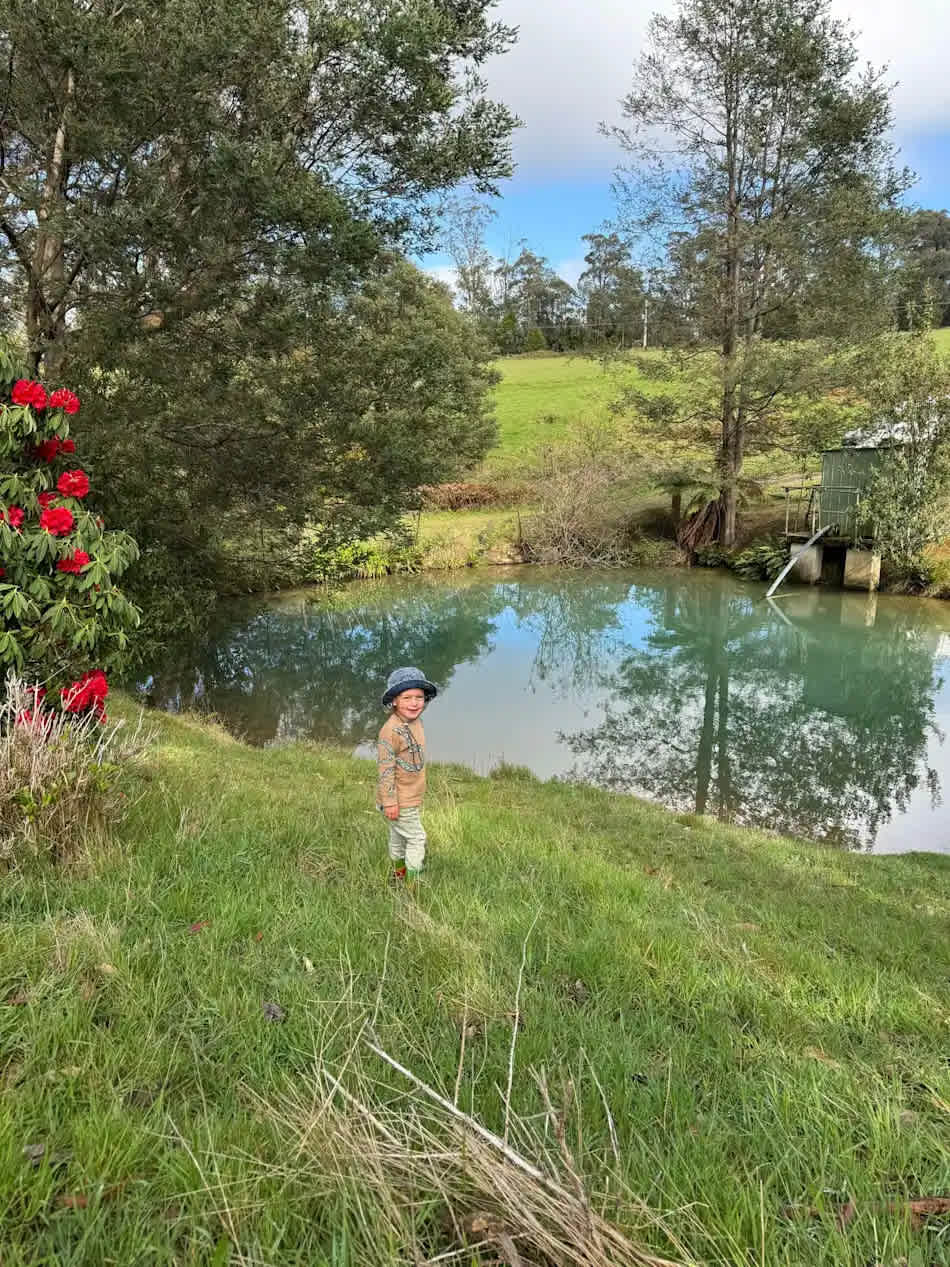 Mountain Spring - Off Grid
