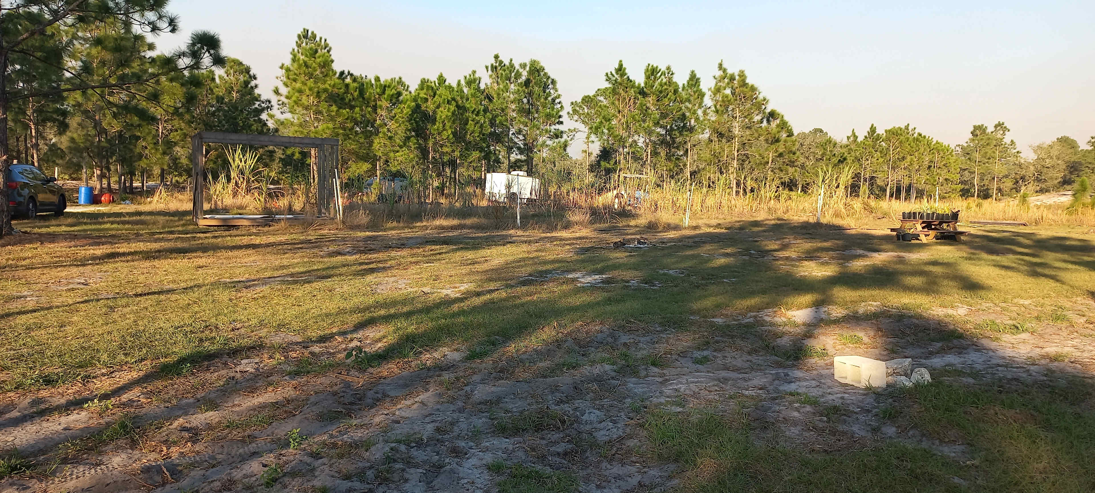 Picture of the site