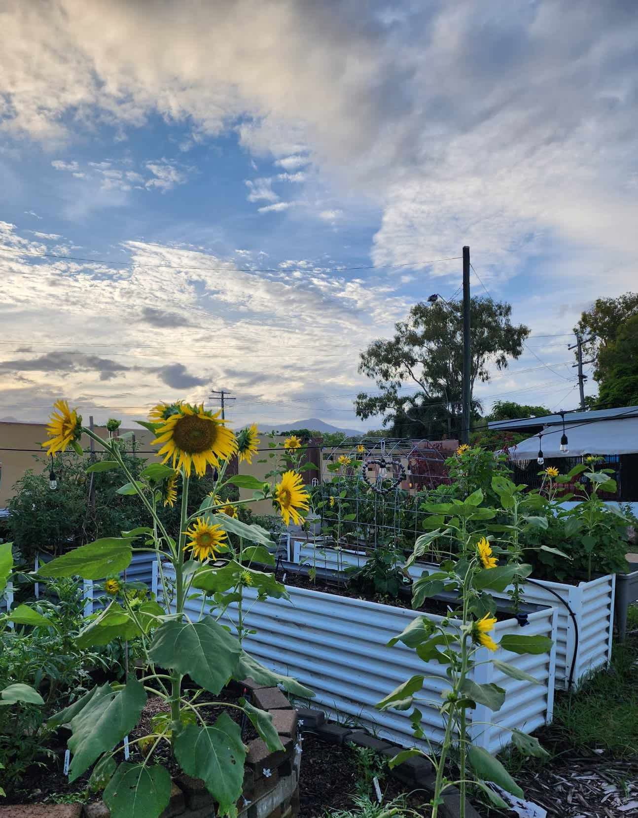 A Hideaway at Holloway's