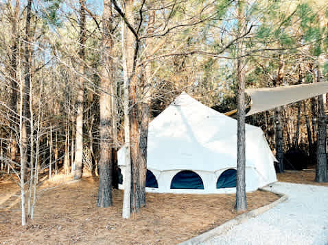 Picture of the site