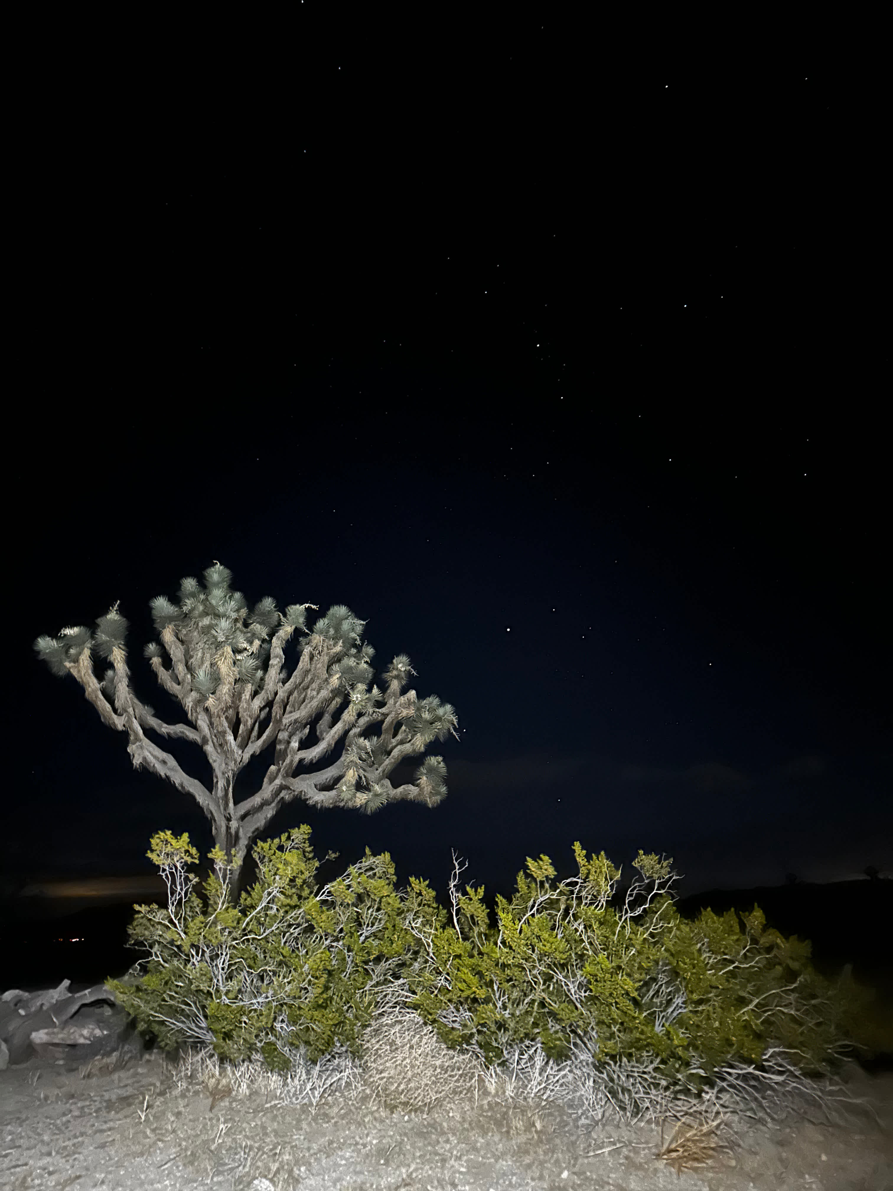Star Ranch
