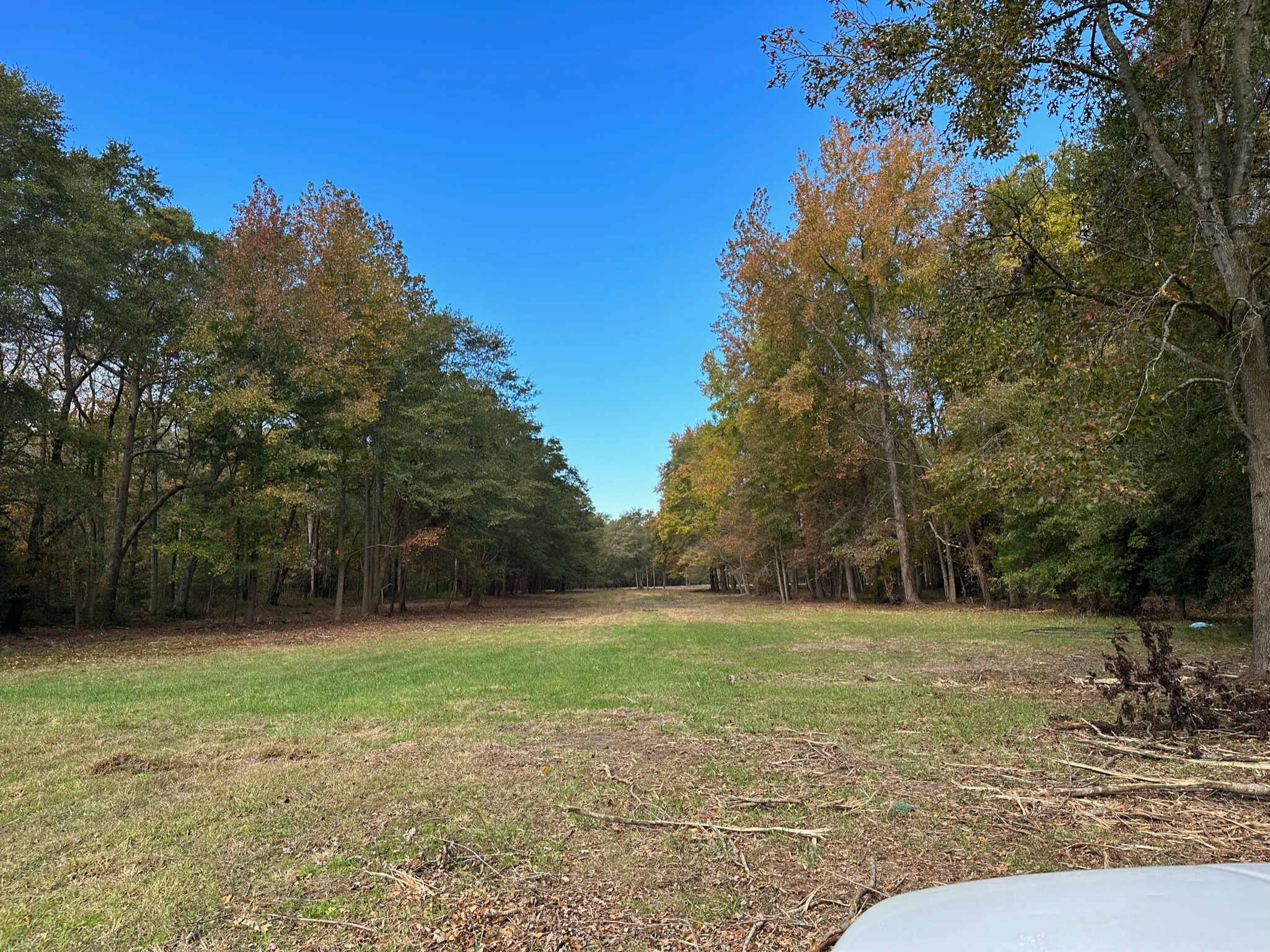 Choptank Farmhouse - Horses Allowed