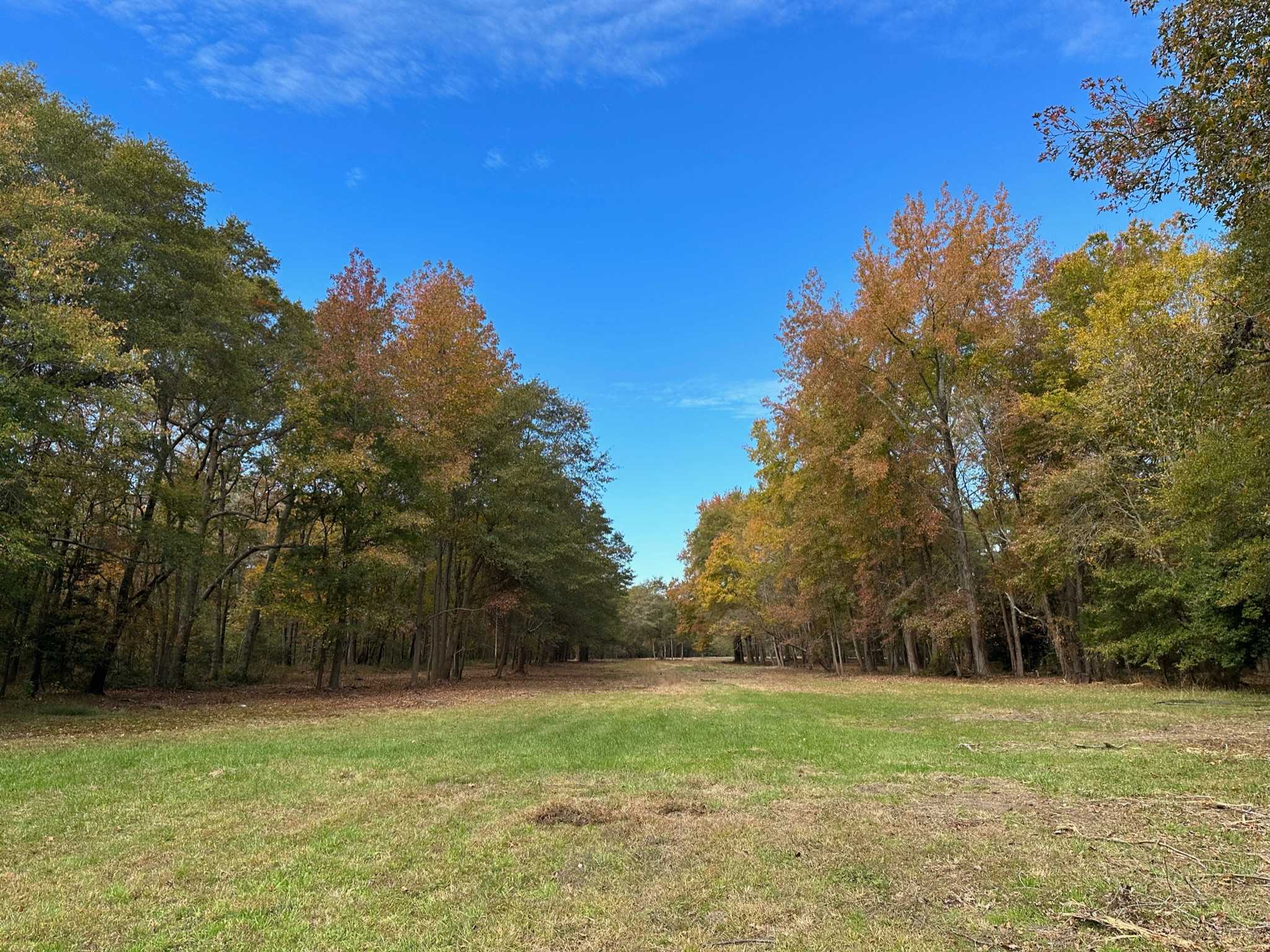 Choptank Farmhouse - Horses Allowed