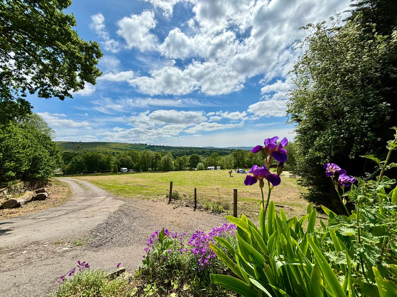 Llandyfan Camping
