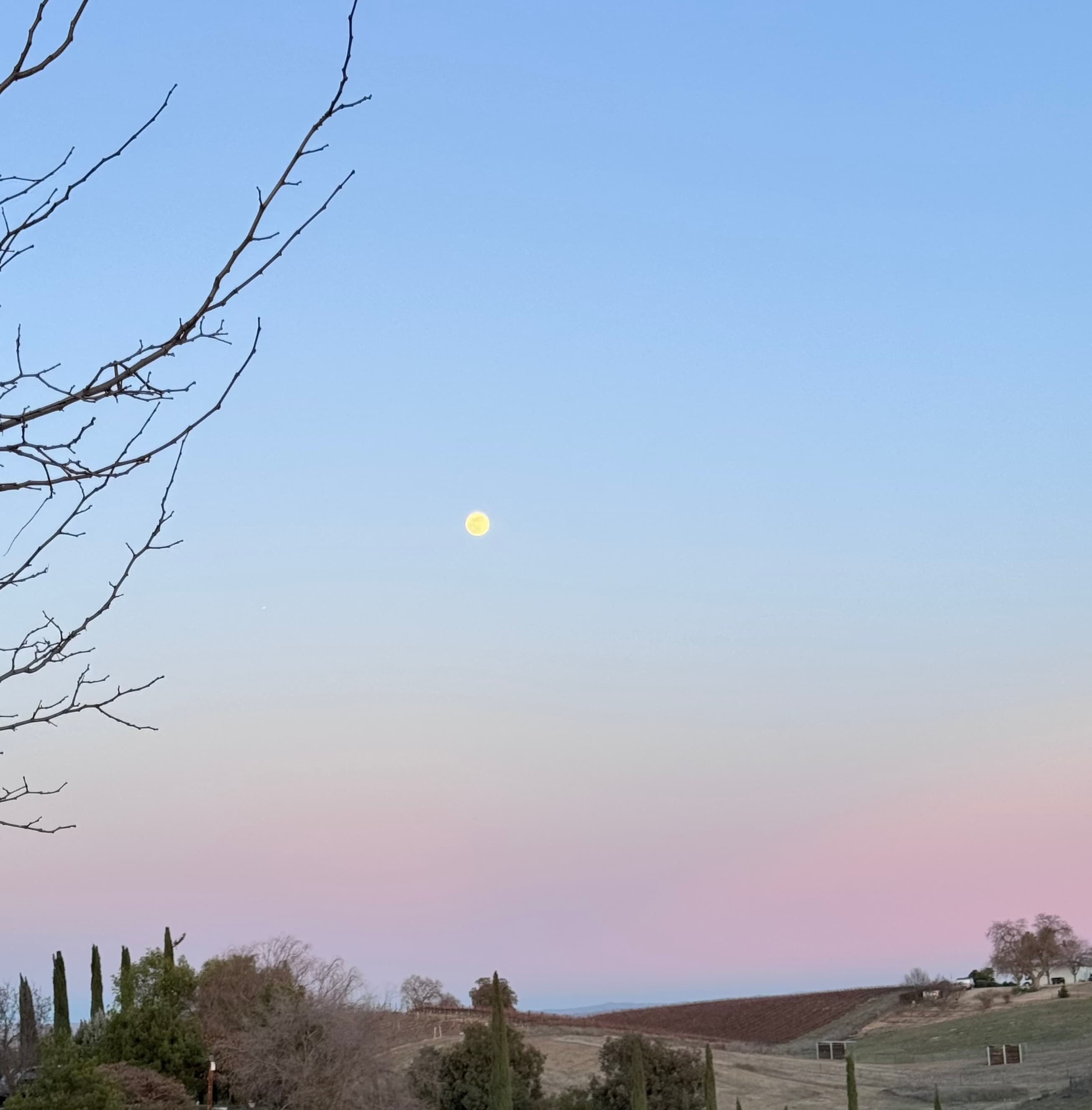 Shooting Star Ranch