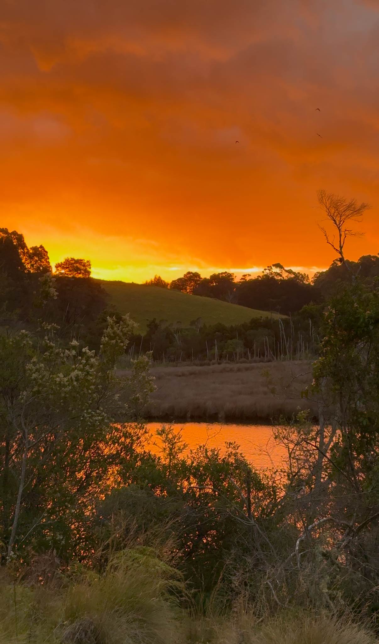 Blackwood Arm Camping
