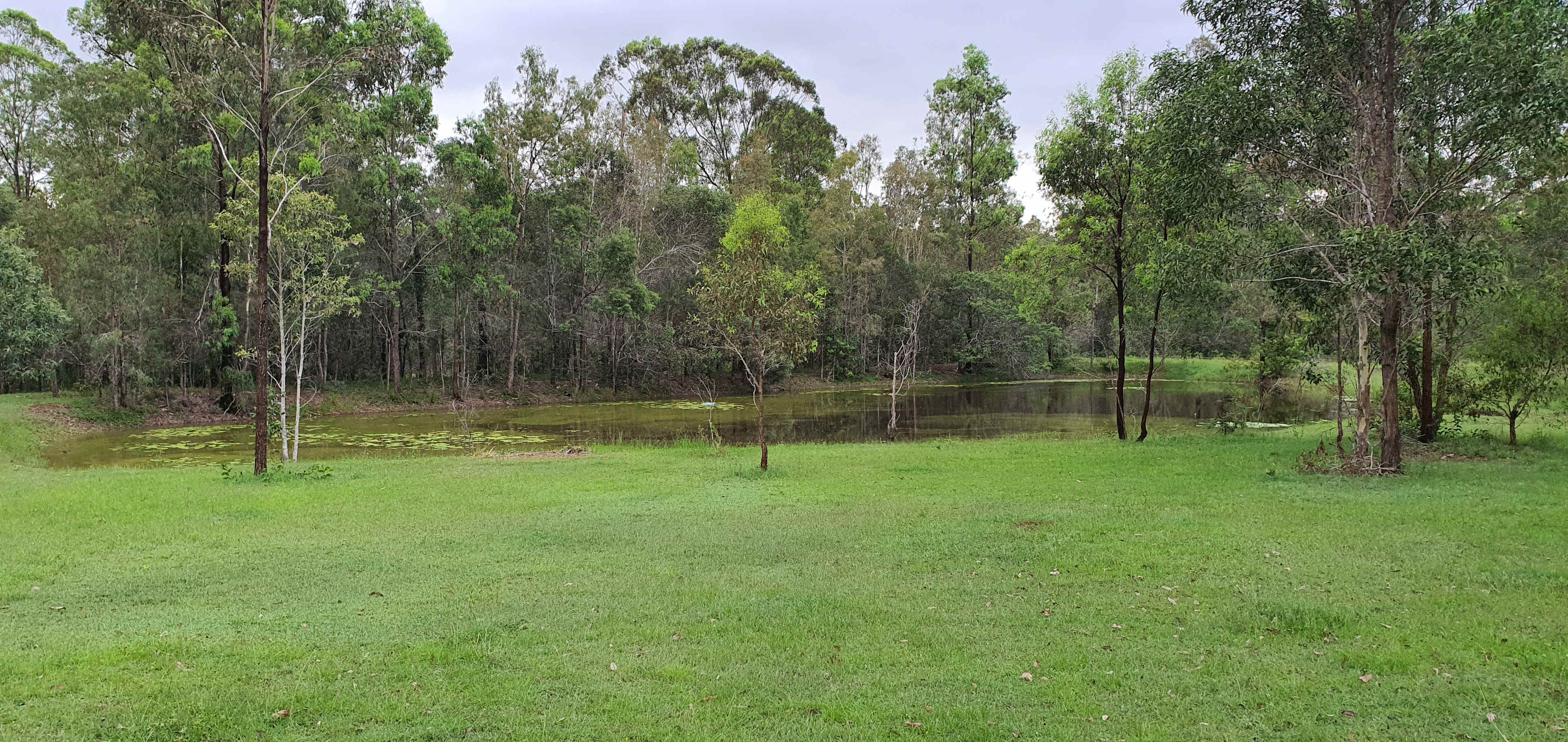Haigslea Bush Camp