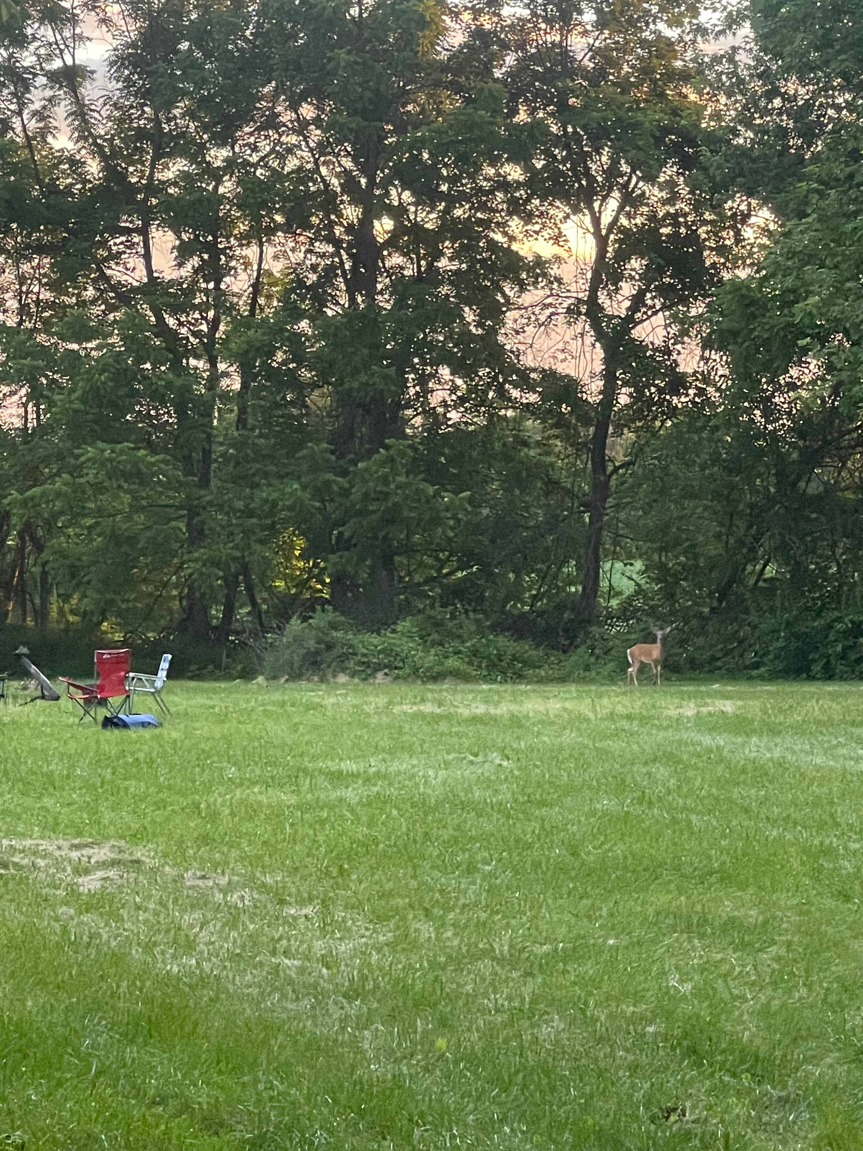 420 Camping