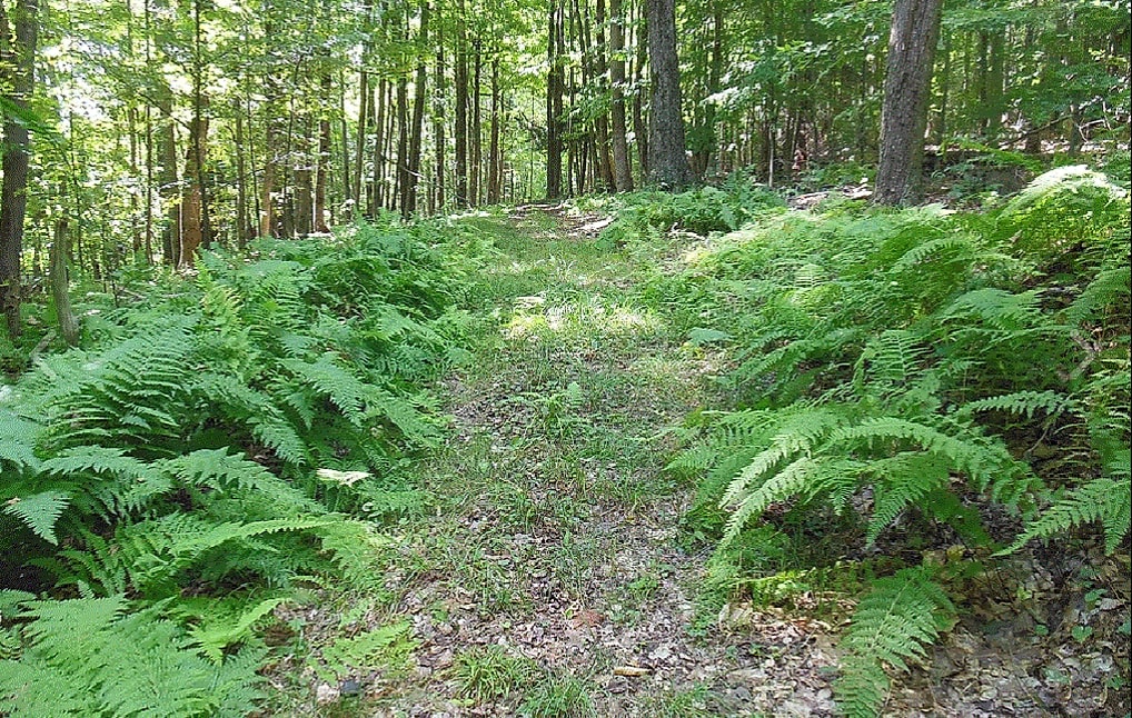 Tranquility Trails & Cabins