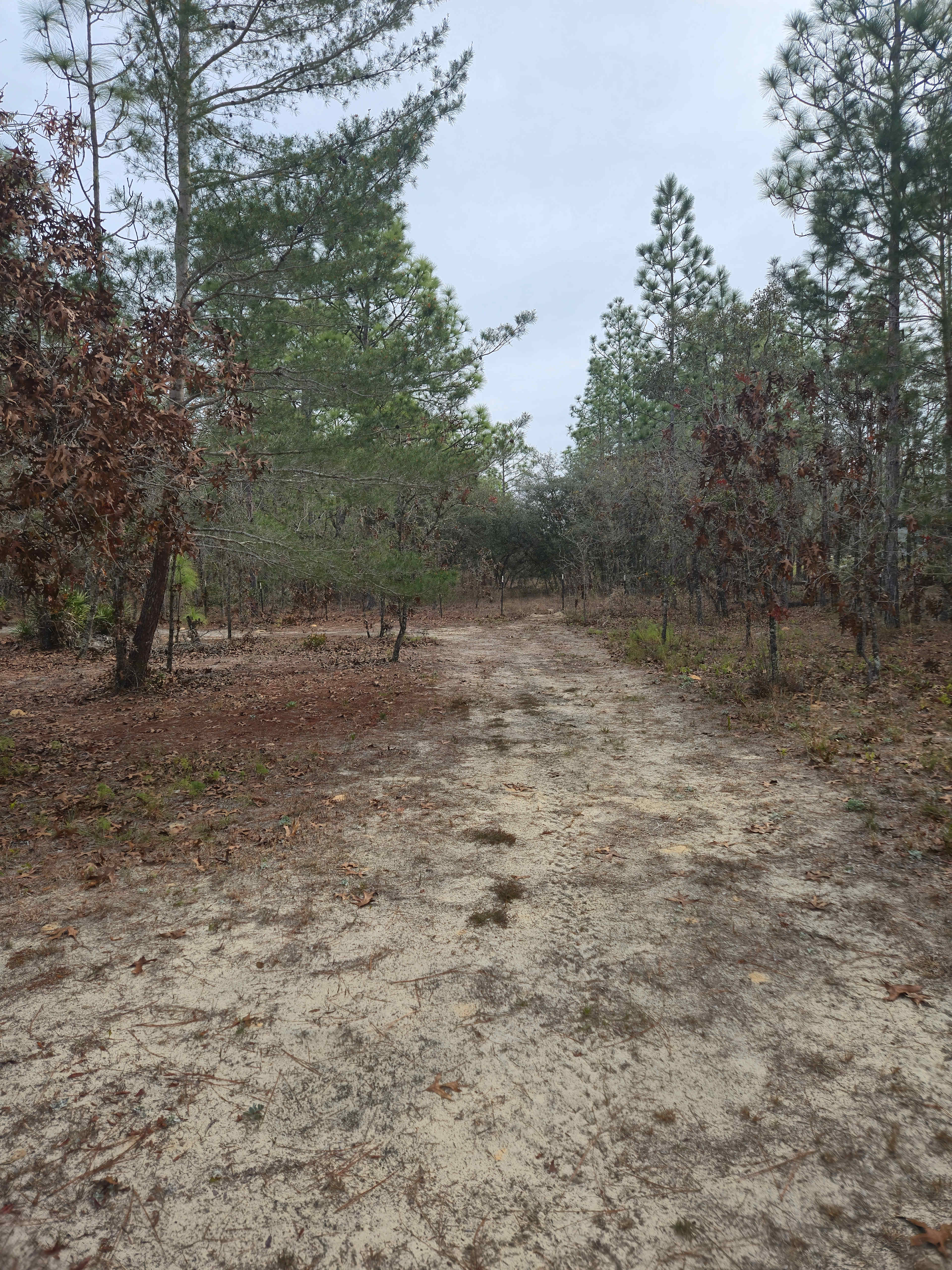 Camp Cavalier