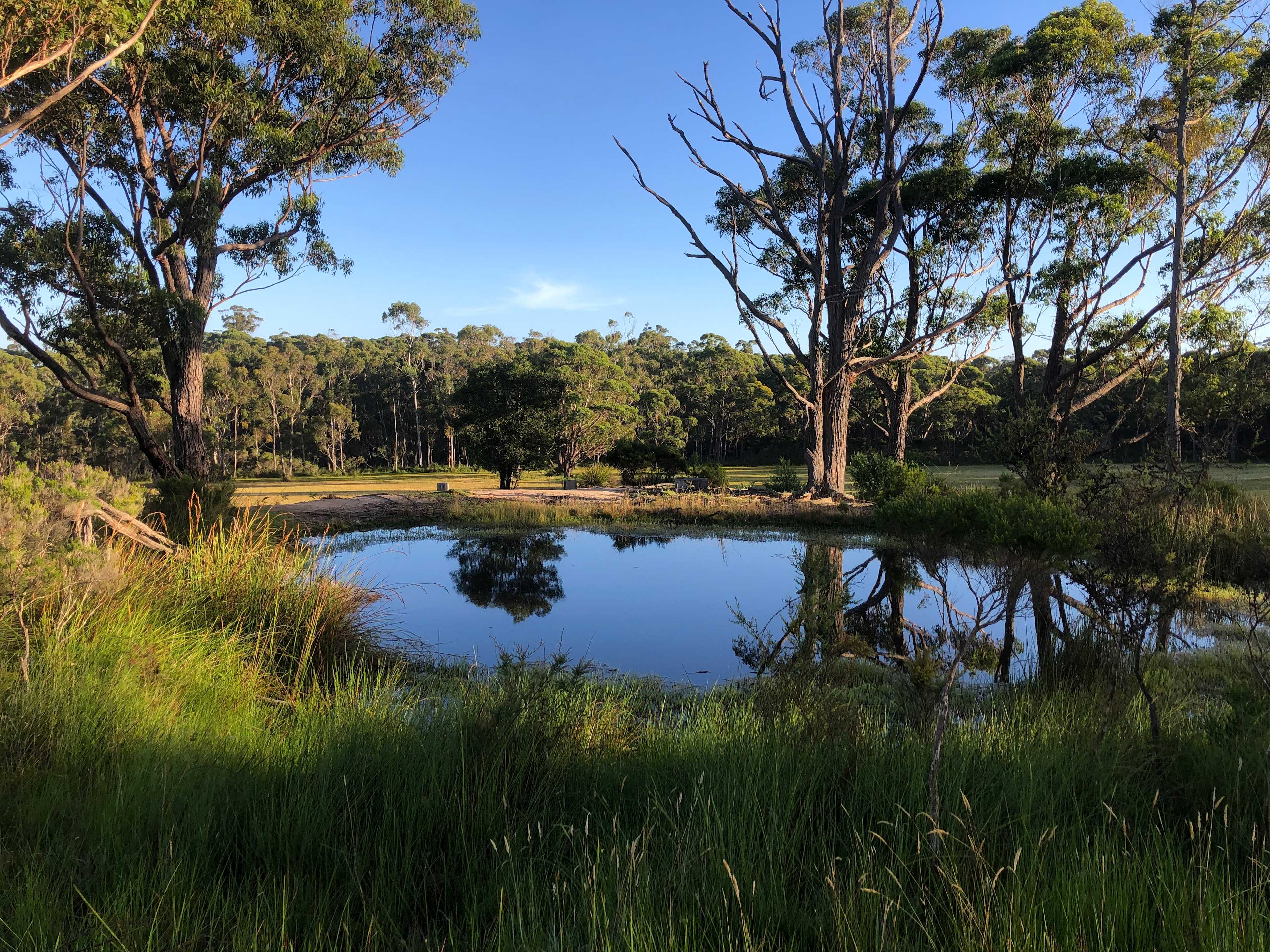 Lake Corringle Camp Park