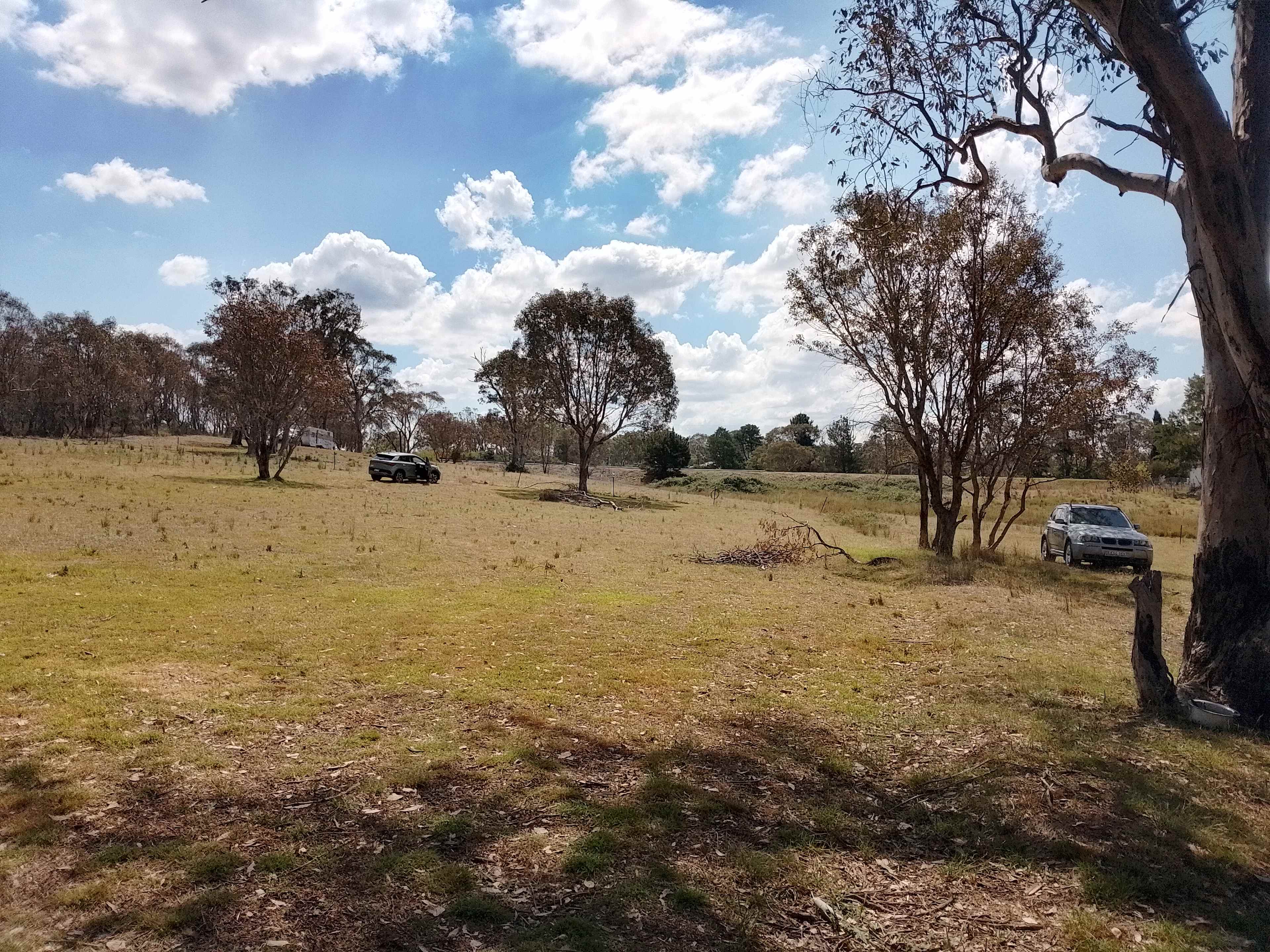 Shah Farm near Yass