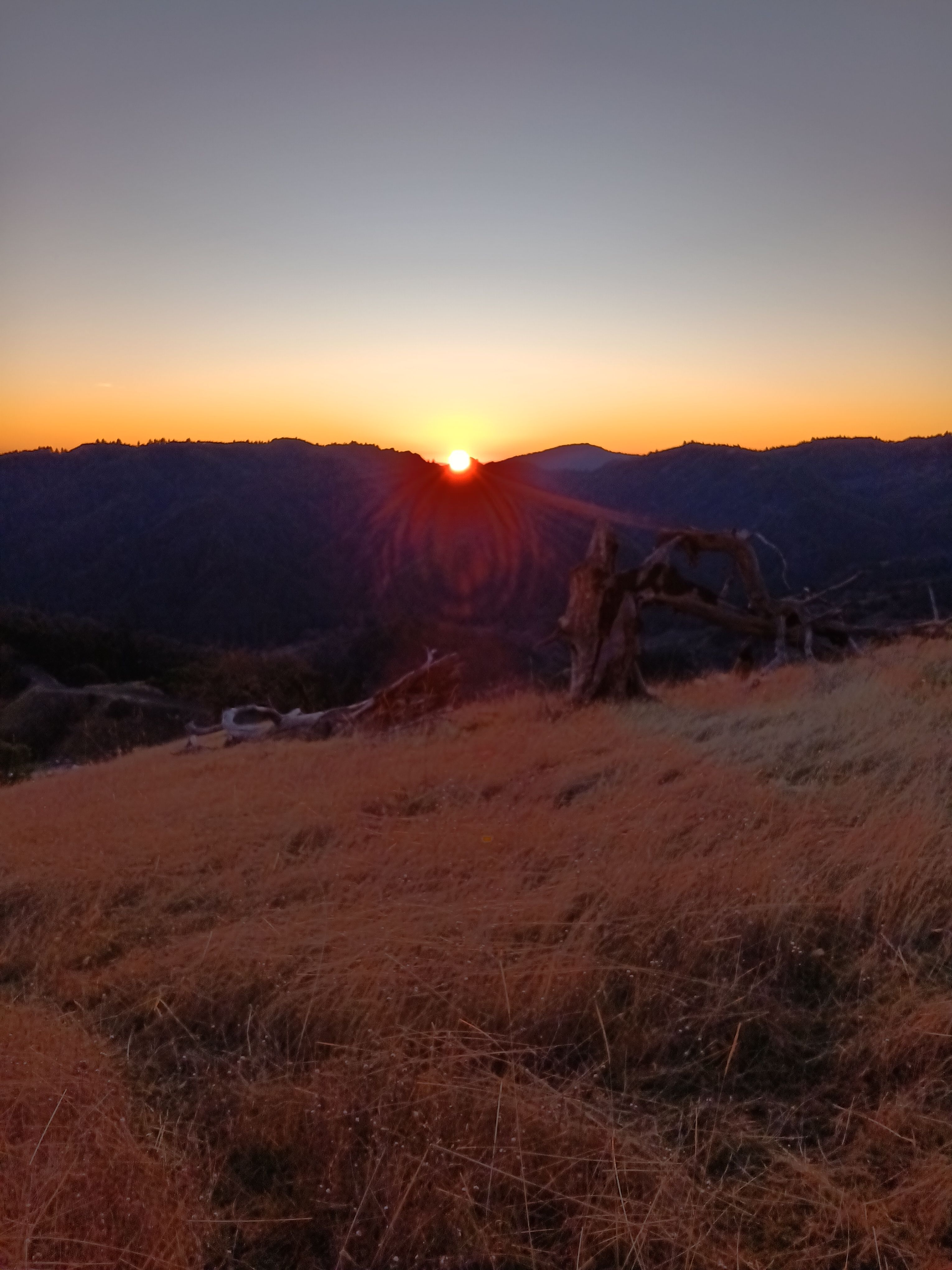 Summer nights and sunsets are pure magic up here on the Summitt. 
